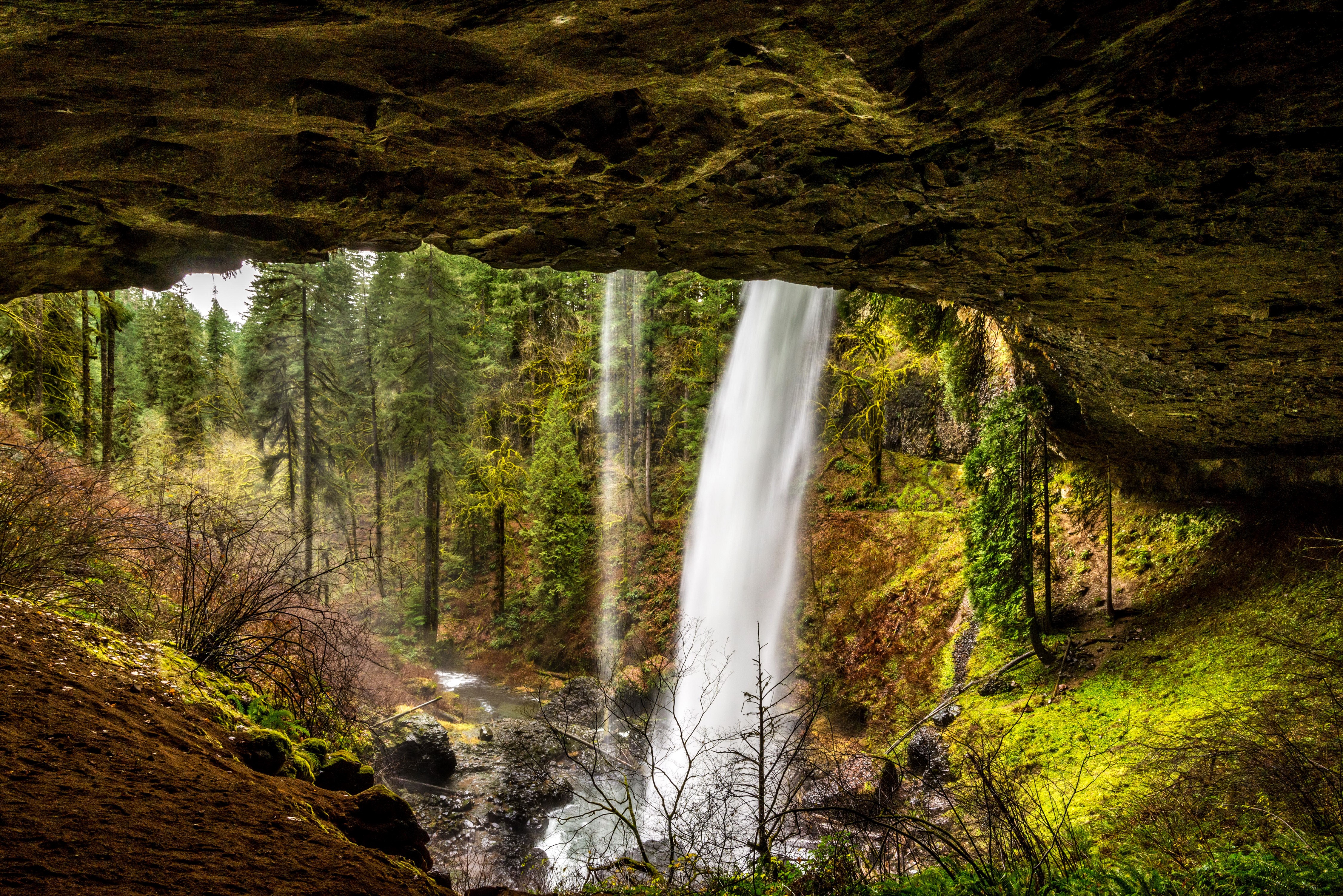 4K Waterfalls in Forests of Silver Falls State Park, USA HD Wallpaper