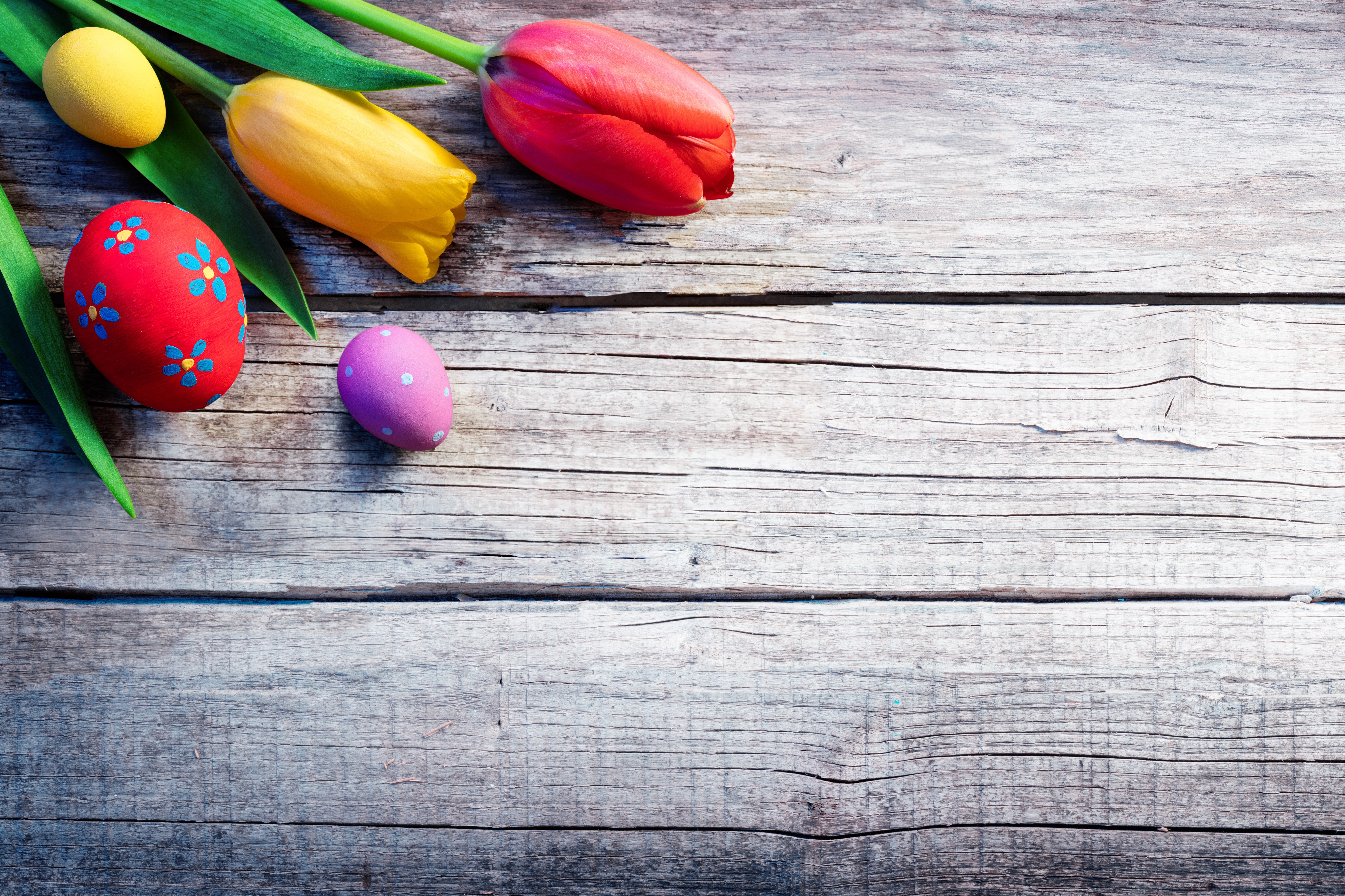 Easter Tulips and Decorated Eggs on Wood Planks HD Wallpaper