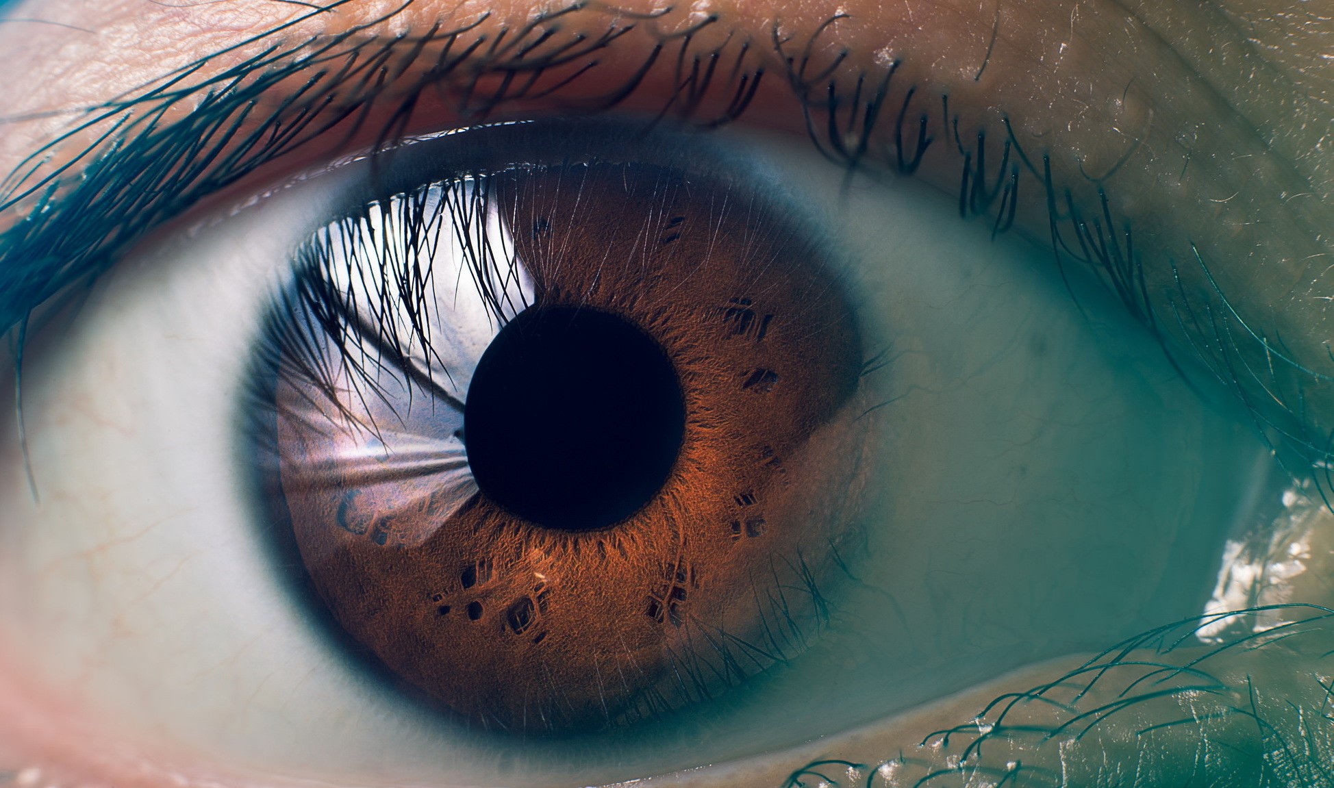 Extreme Macro Closeup of a Human Eye HD Wallpaper