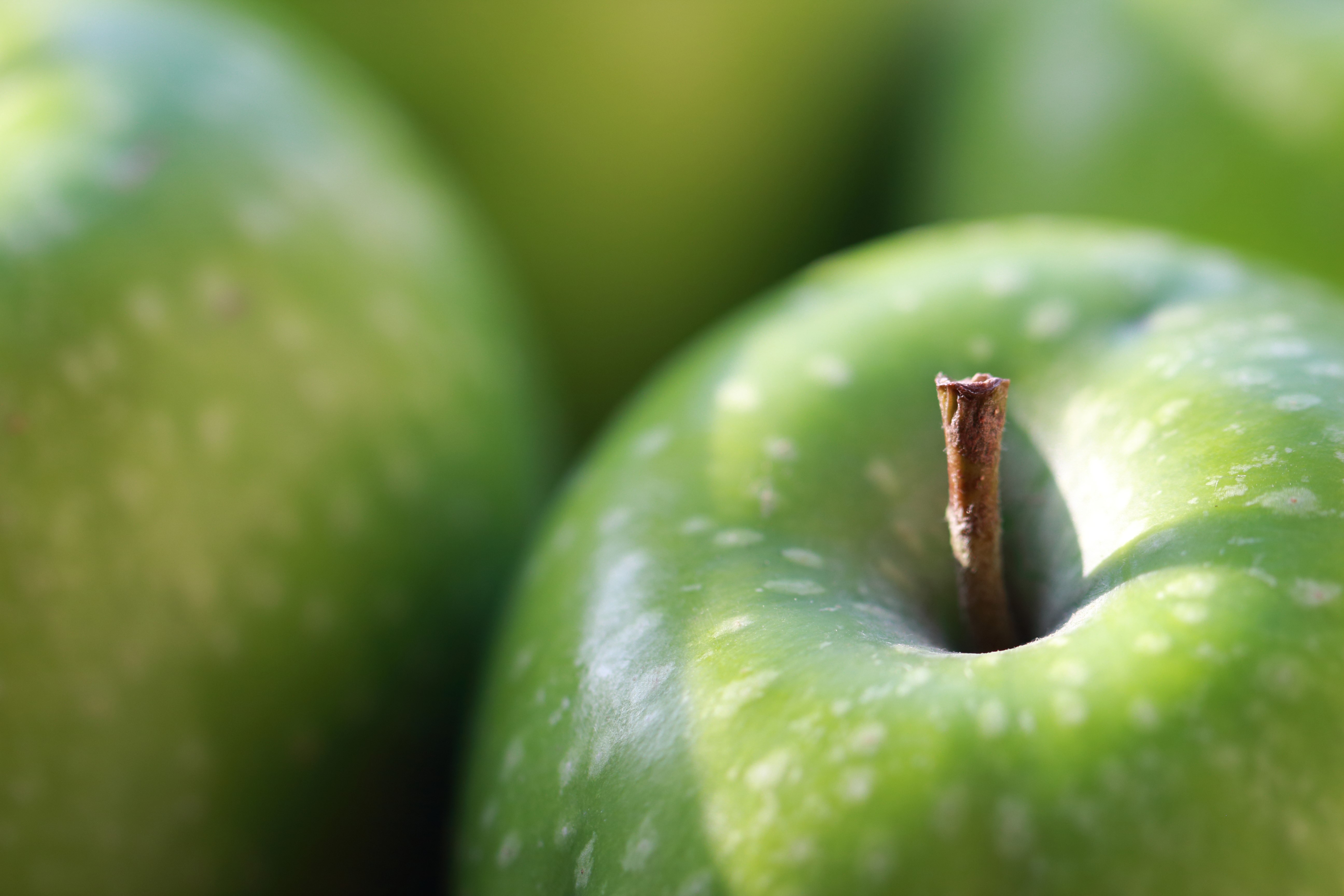 Green Apples Closeup HD Wallpaper