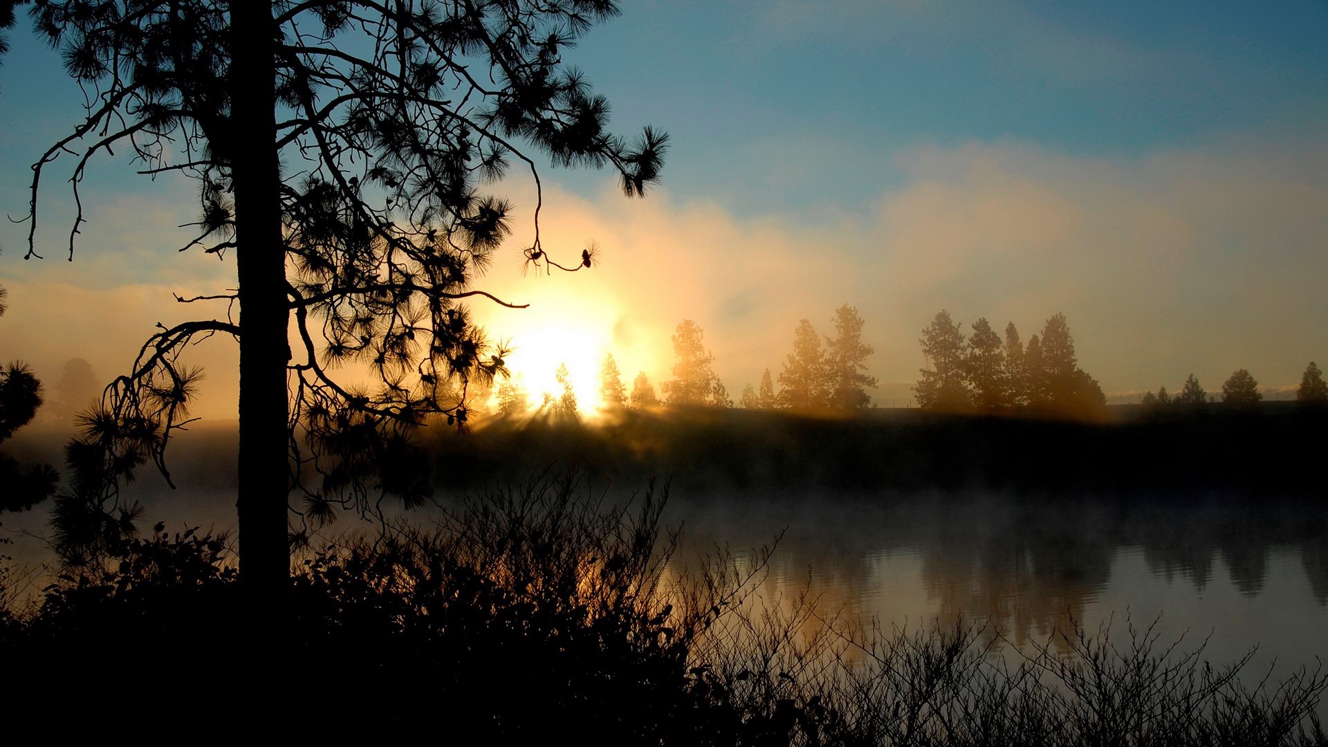 Sunrise over a misty lake with silhouetted trees HD Wallpaper