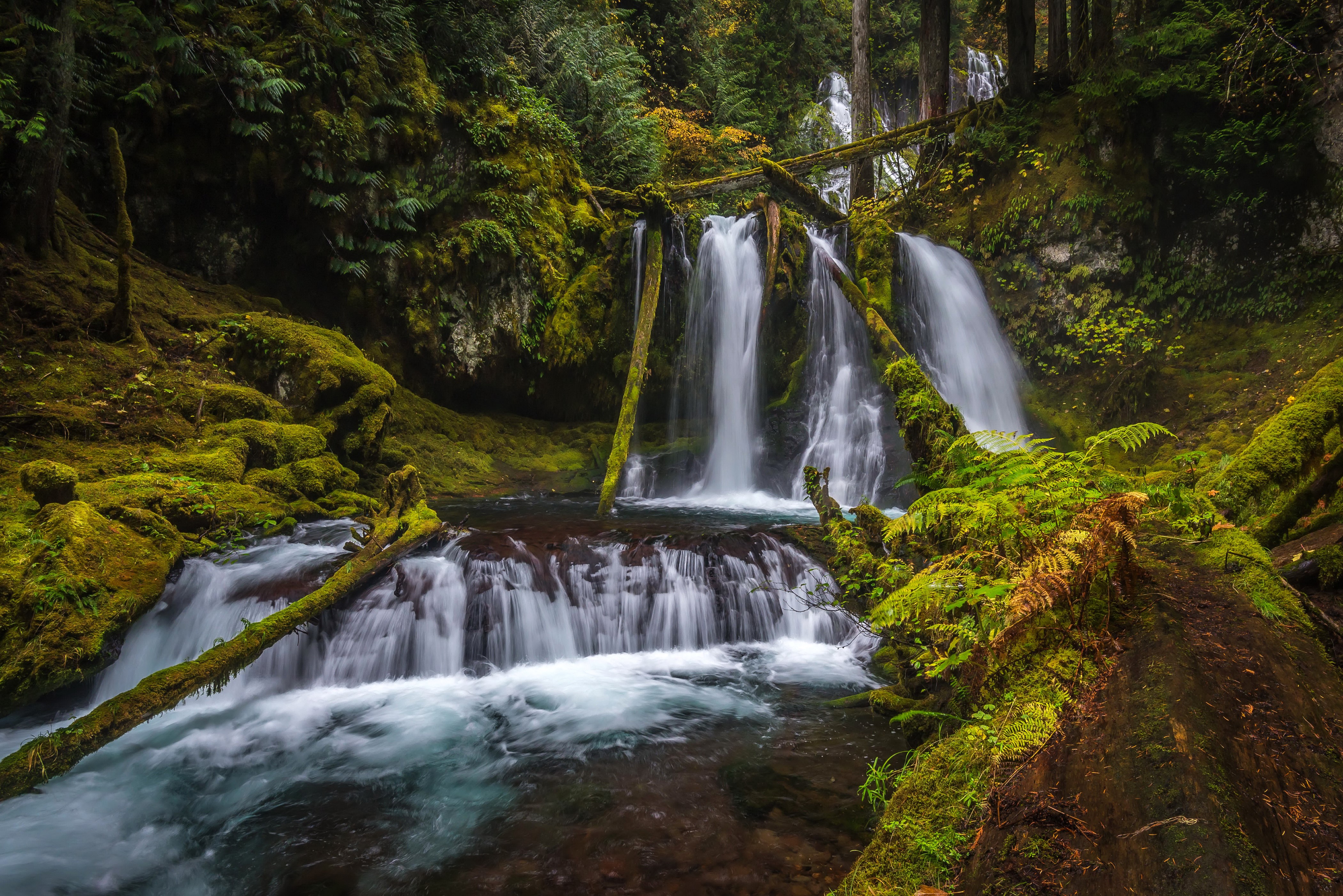 4K Waterfalls in Silver Falls State Park, USA HD Wallpaper