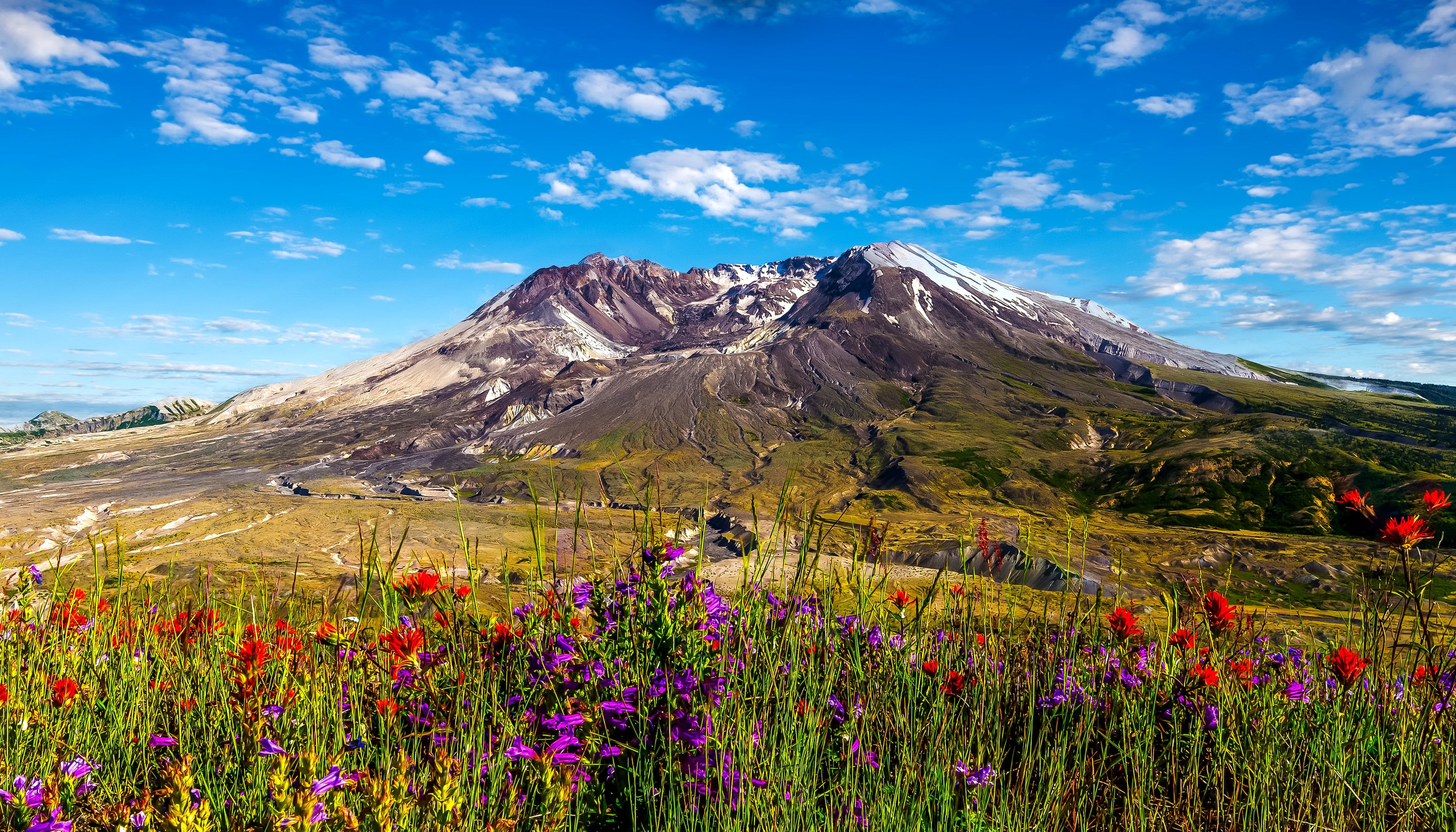 Mount St. Helens in Washington, USA with wildflowers HD Wallpaper