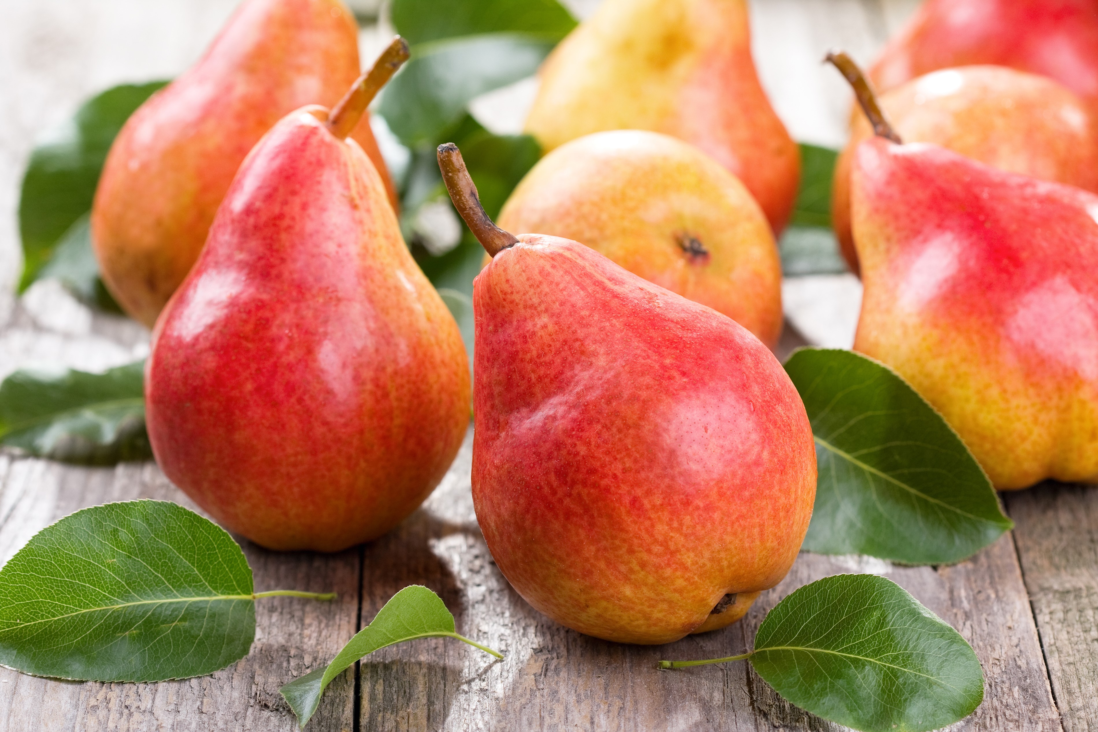 Red and yellow pears with green leaves on wooden surface HD Wallpaper