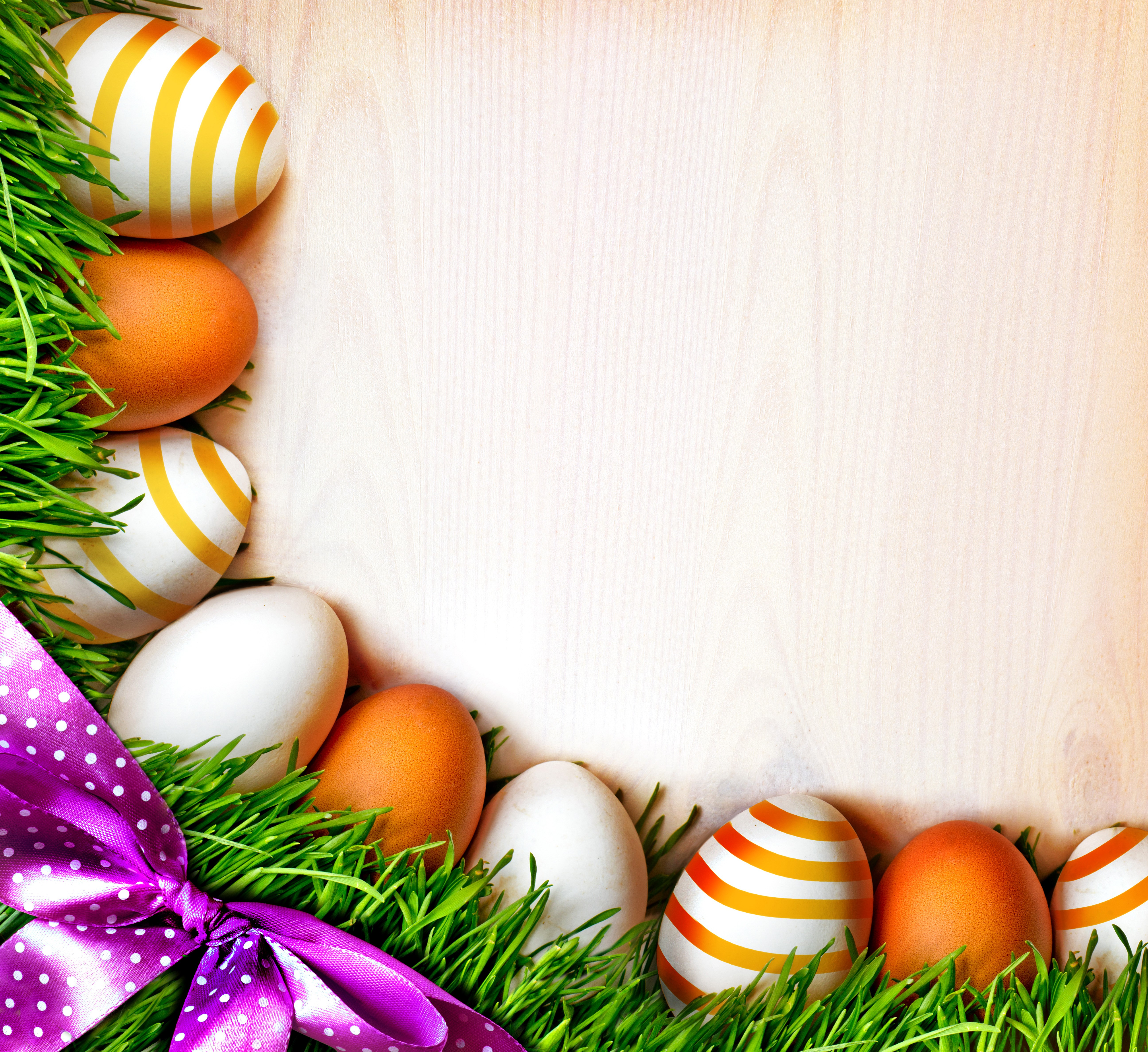 Easter Eggs on Grass with Purple Ribbon HD Wallpaper