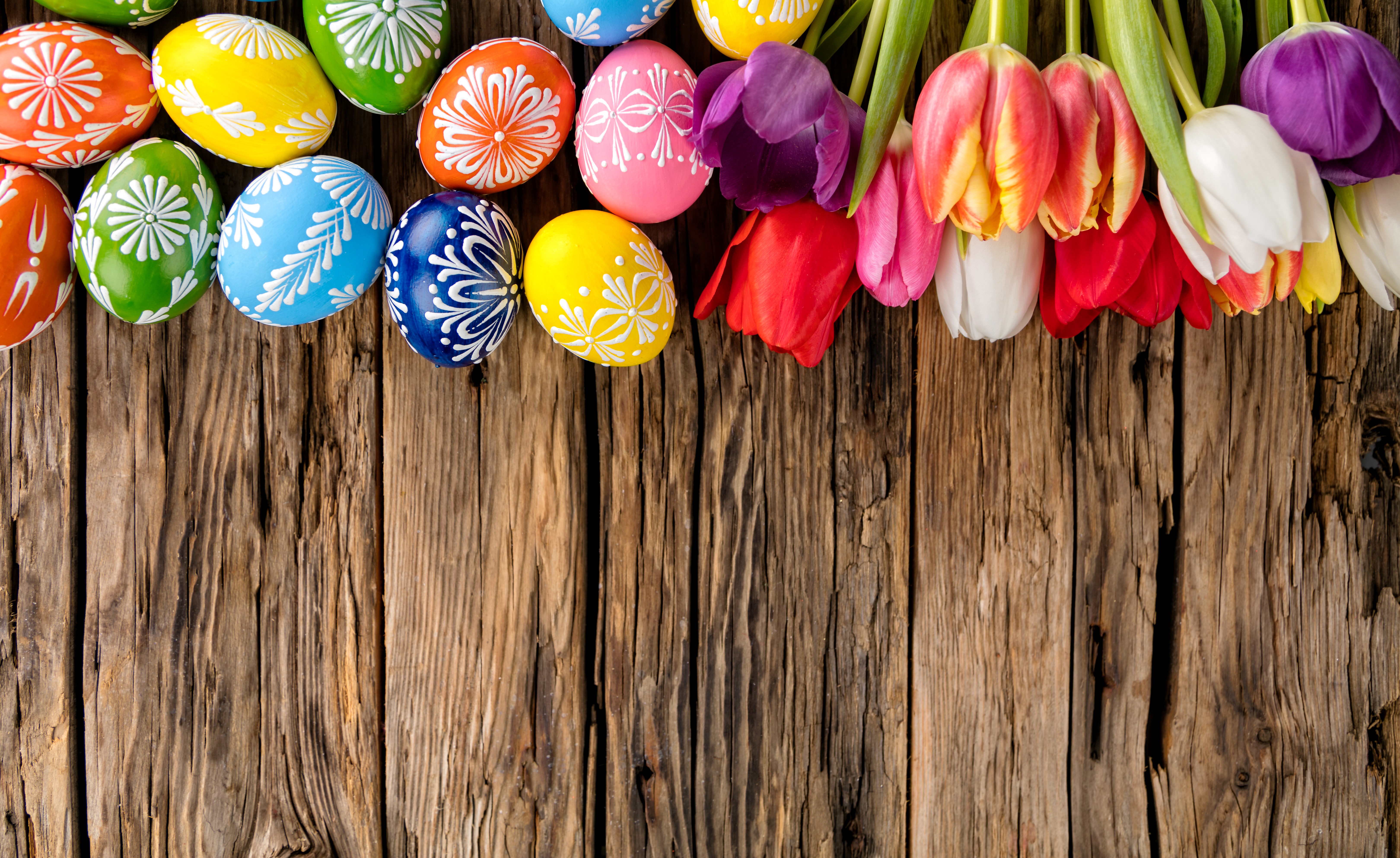 Easter Eggs and Tulips on Wooden Background HD Wallpaper