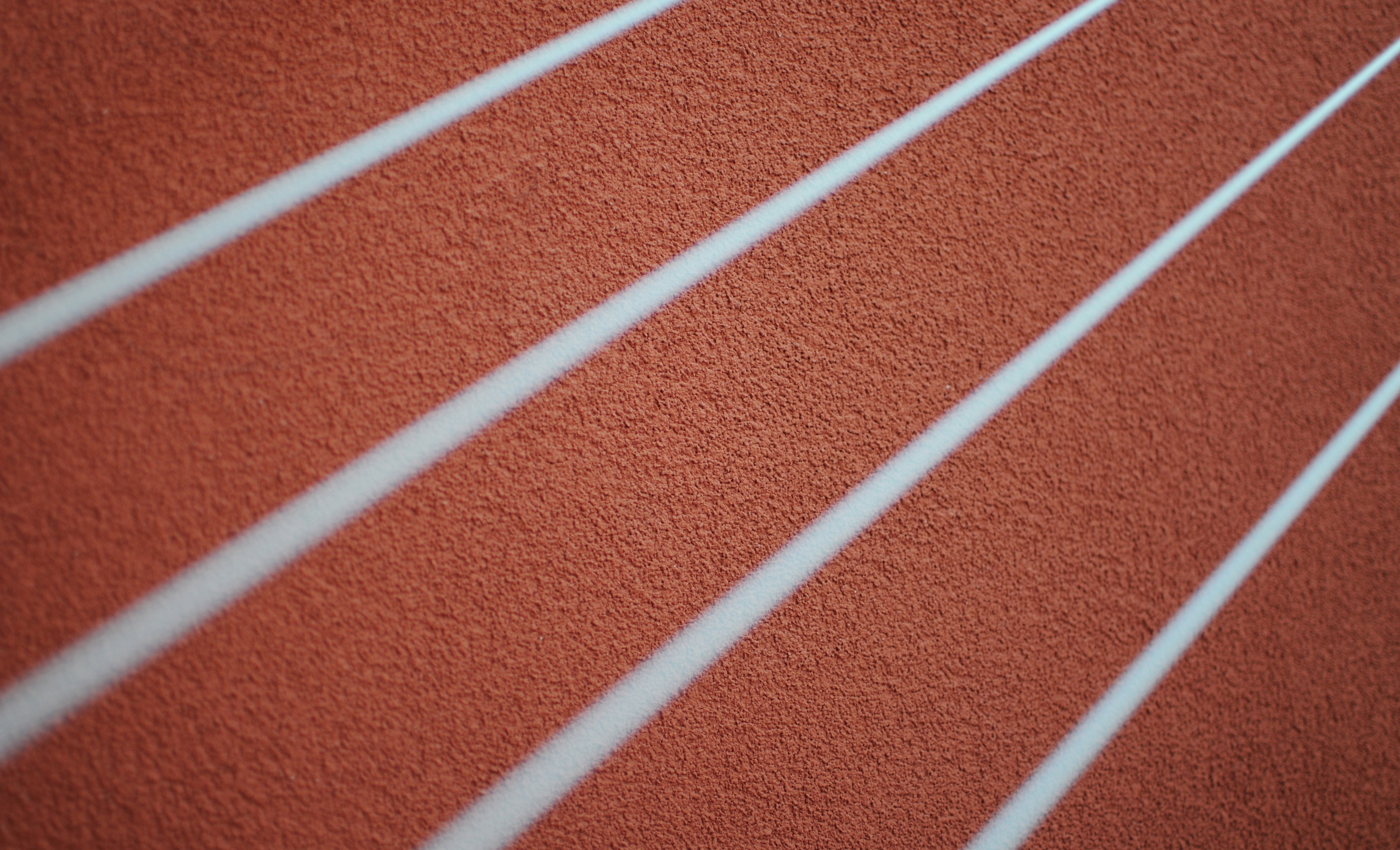 Running track with white lines HD Wallpaper