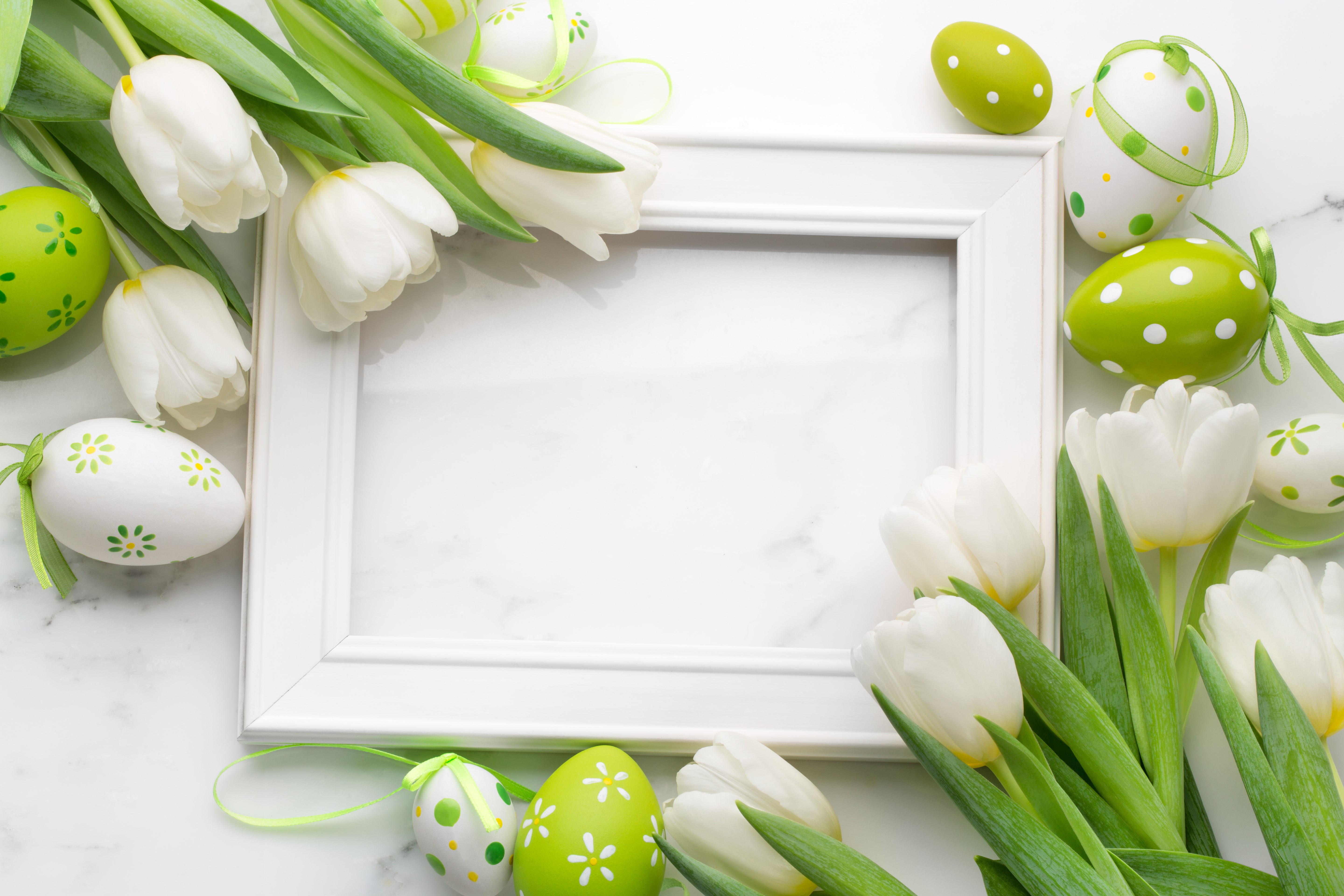 Easter Tulips and Eggs Template Greeting Card HD Wallpaper