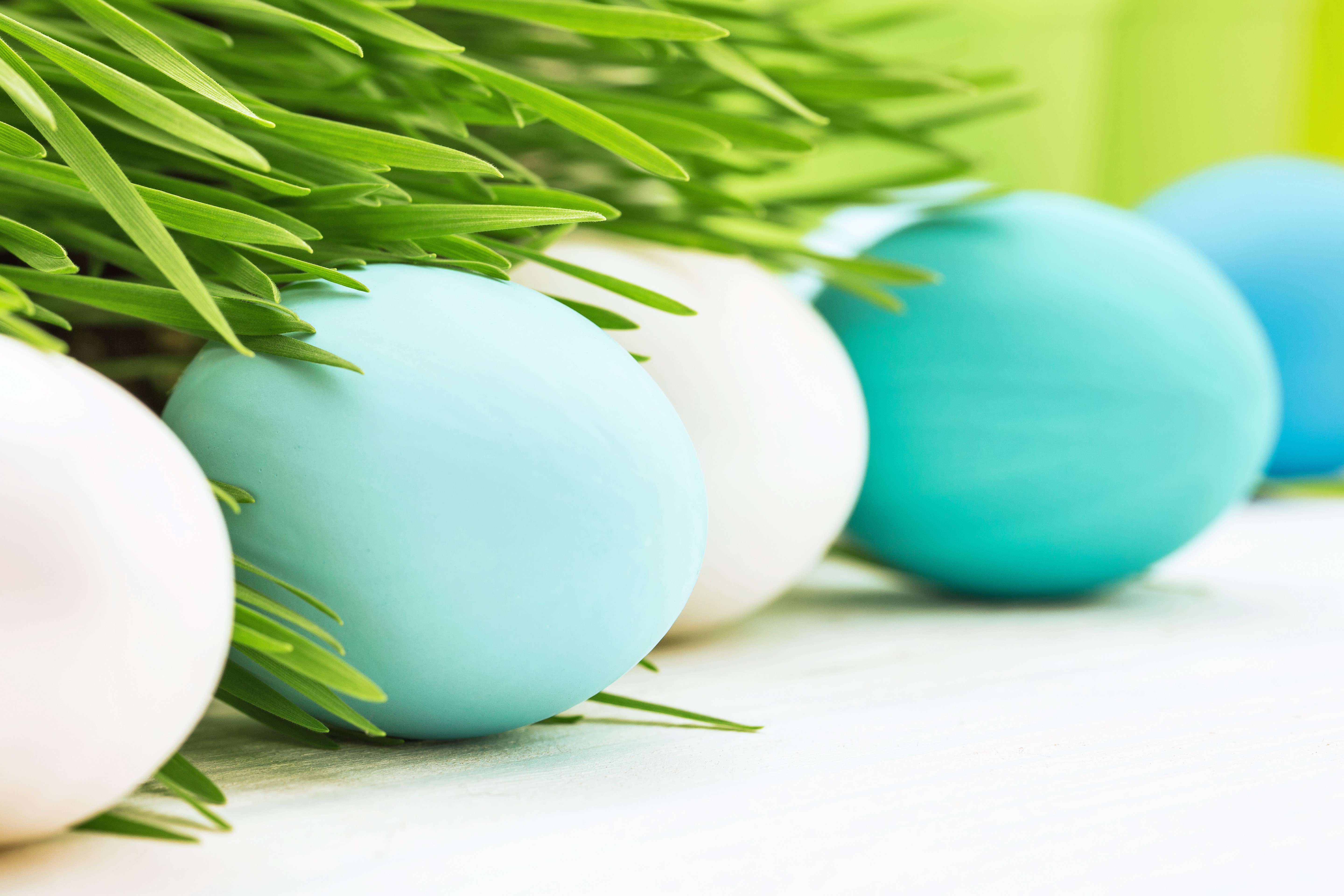 Easter Eggs with Green Grass HD Wallpaper