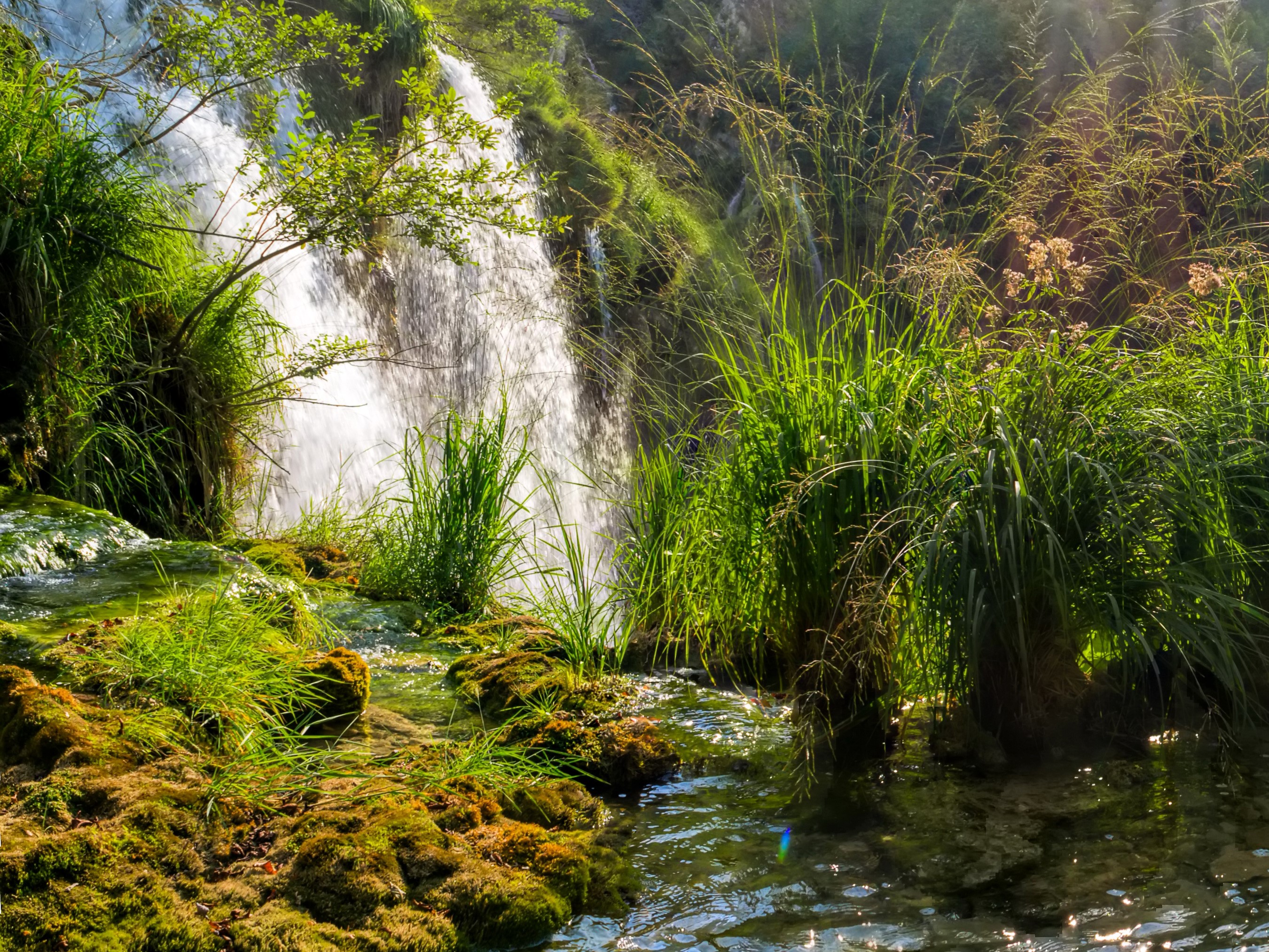 Waterfalls and lush vegetation in Plitvice National Park, Croatia HD Wallpaper