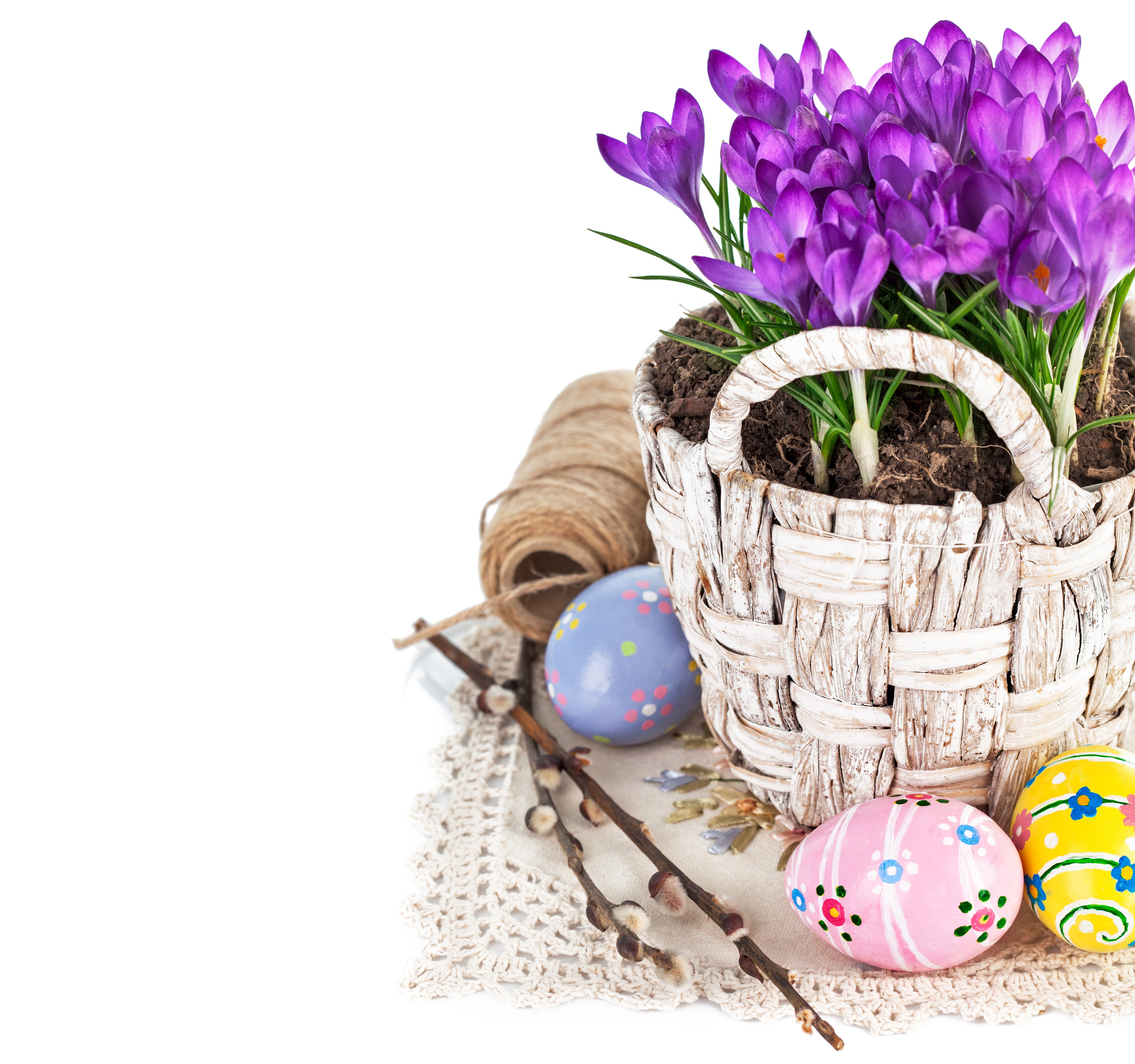 Easter Crocuses and Decorated Eggs in Wicker Basket HD Wallpaper