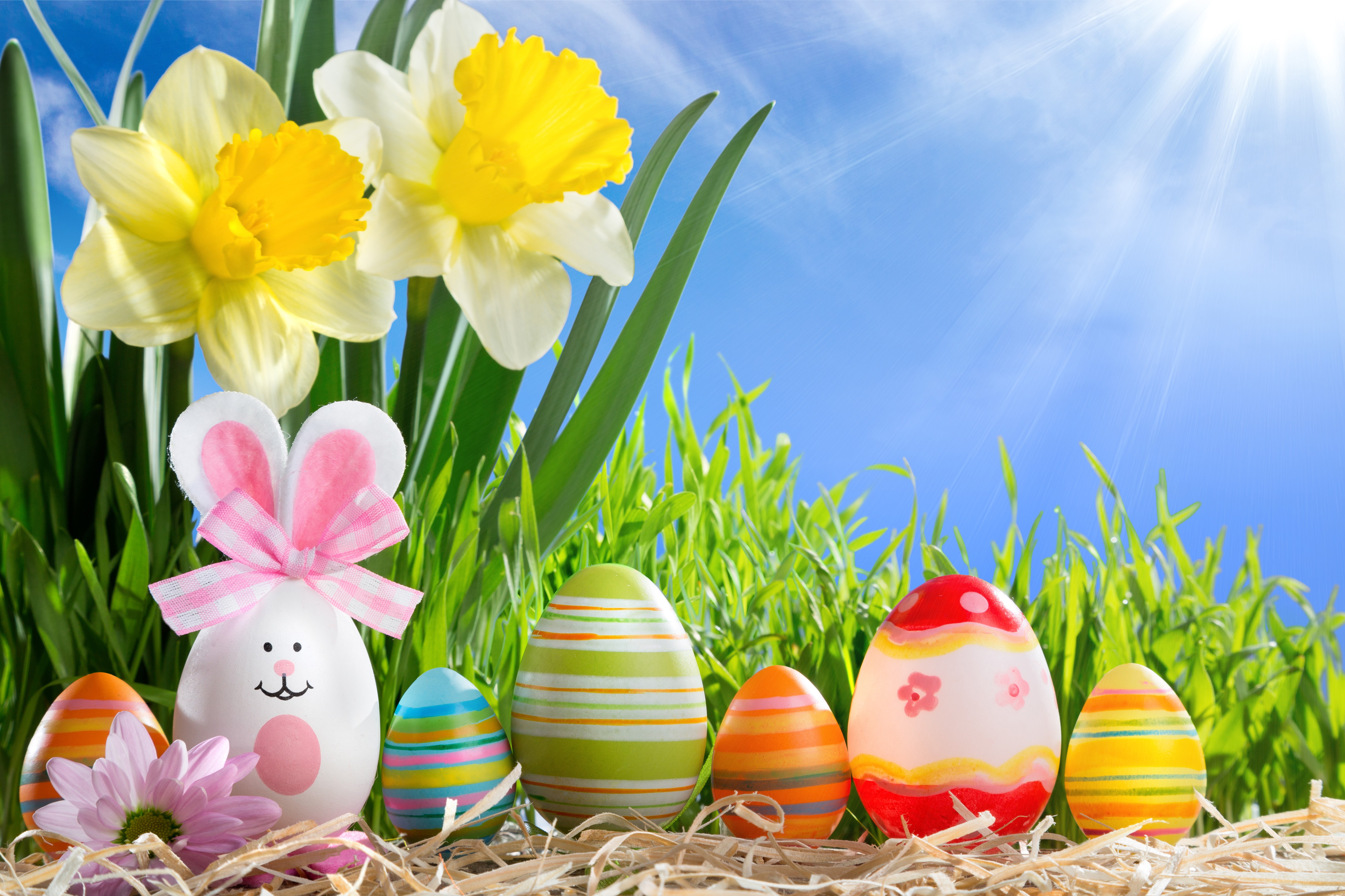 Easter Eggs and Daffodils on a Sunny Day HD Wallpaper