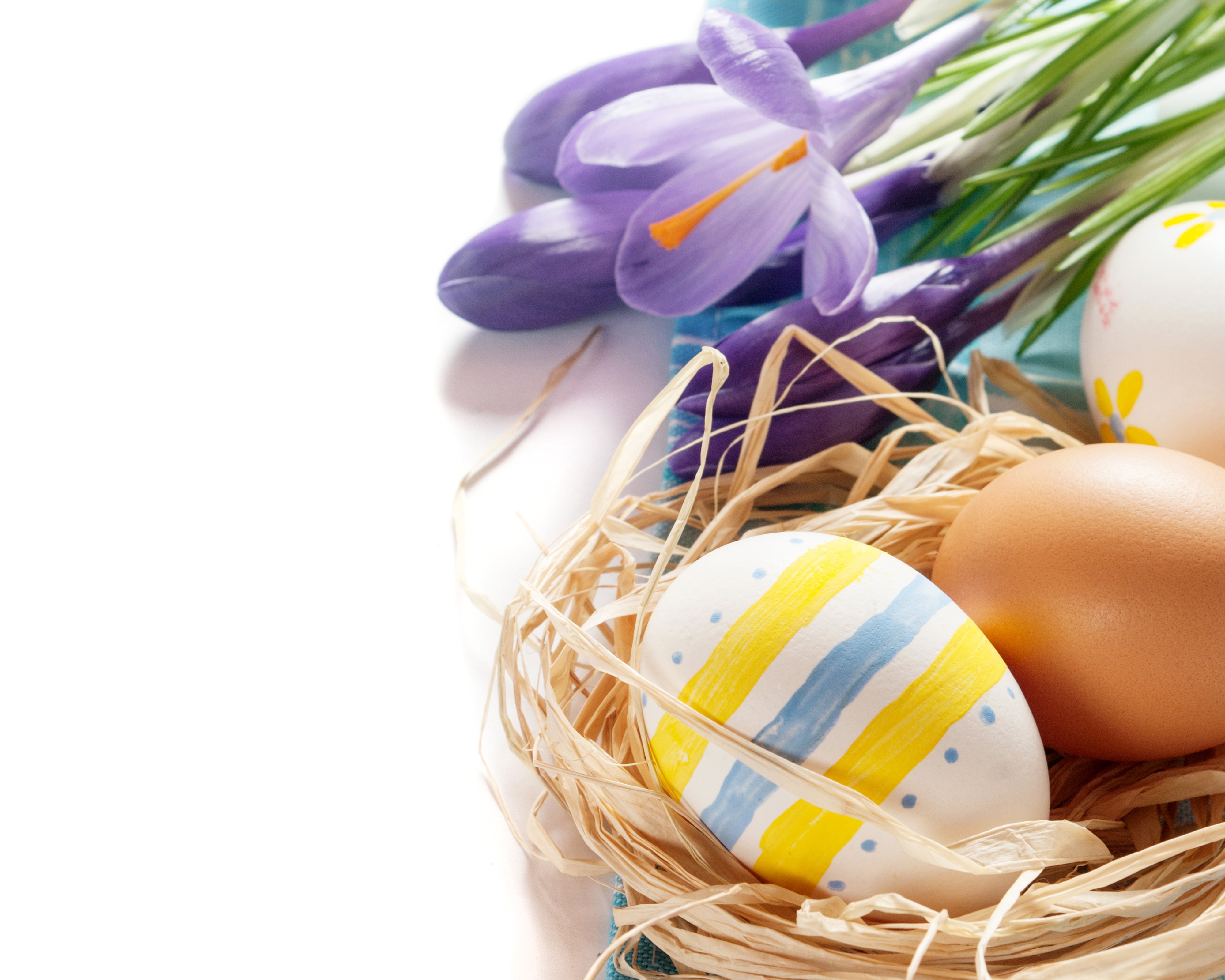 Easter eggs and purple crocuses in a nest HD Wallpaper