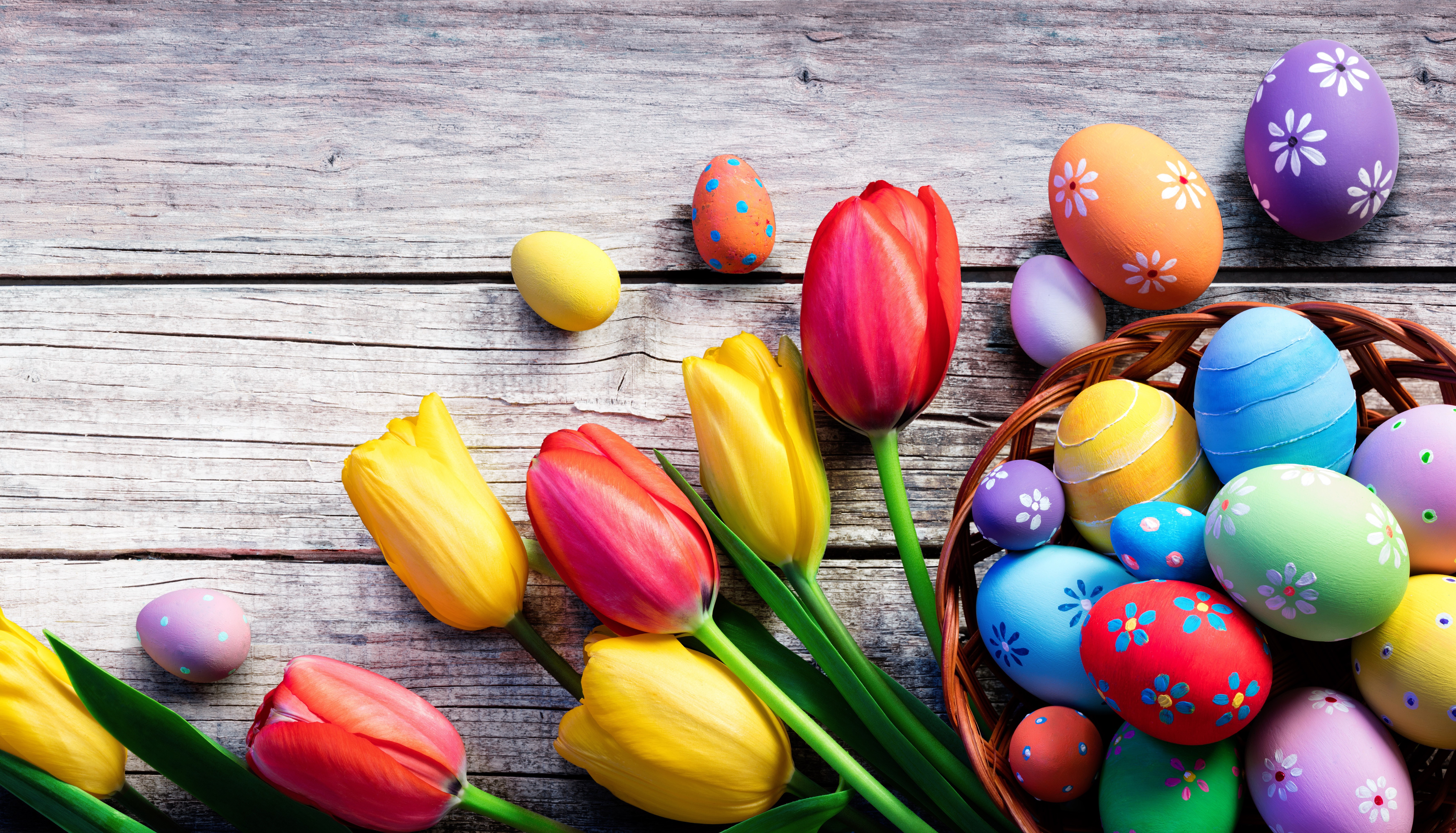 Easter Eggs and Tulips on Wooden Background HD Wallpaper
