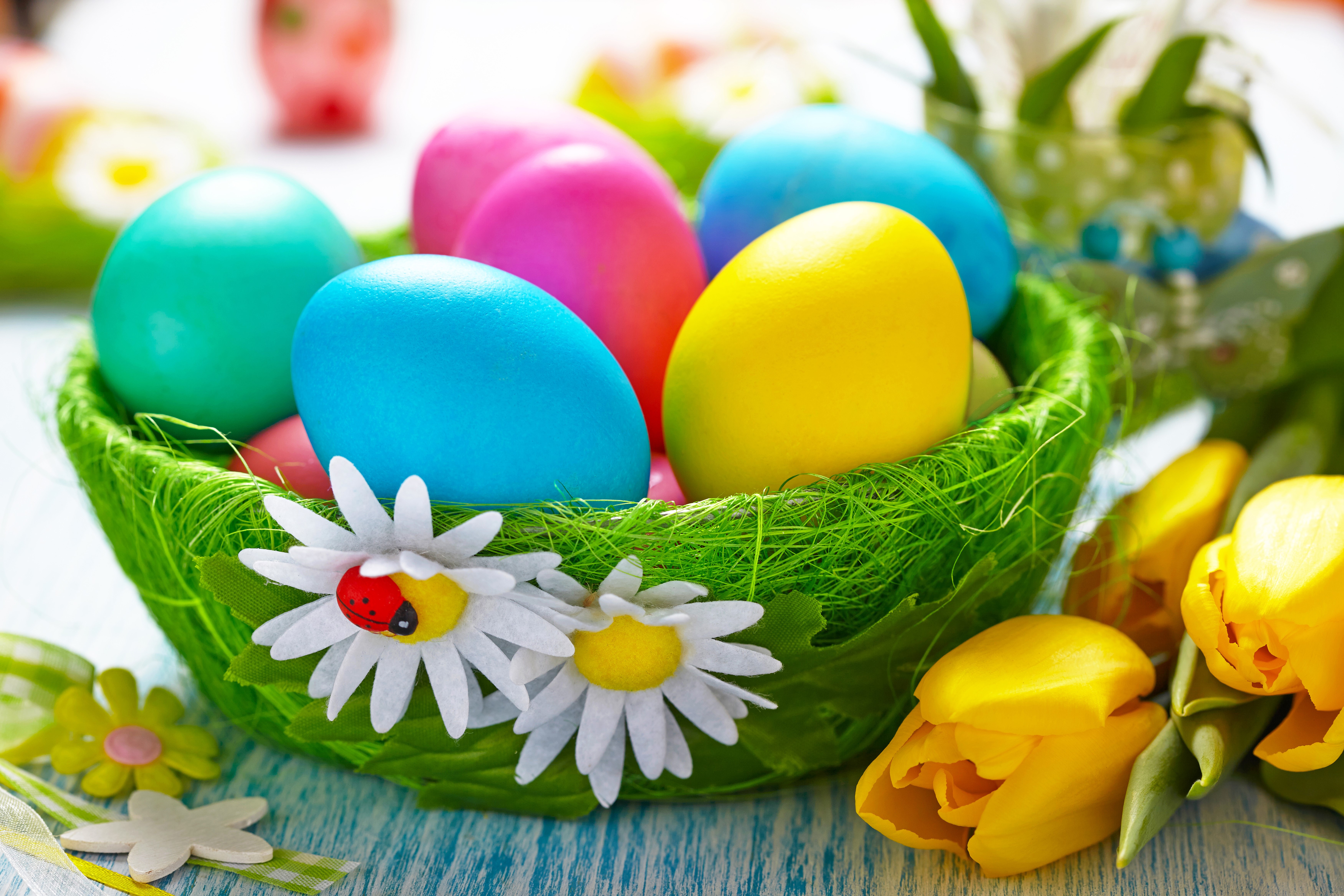 Easter Eggs in a Basket with Tulips HD Wallpaper