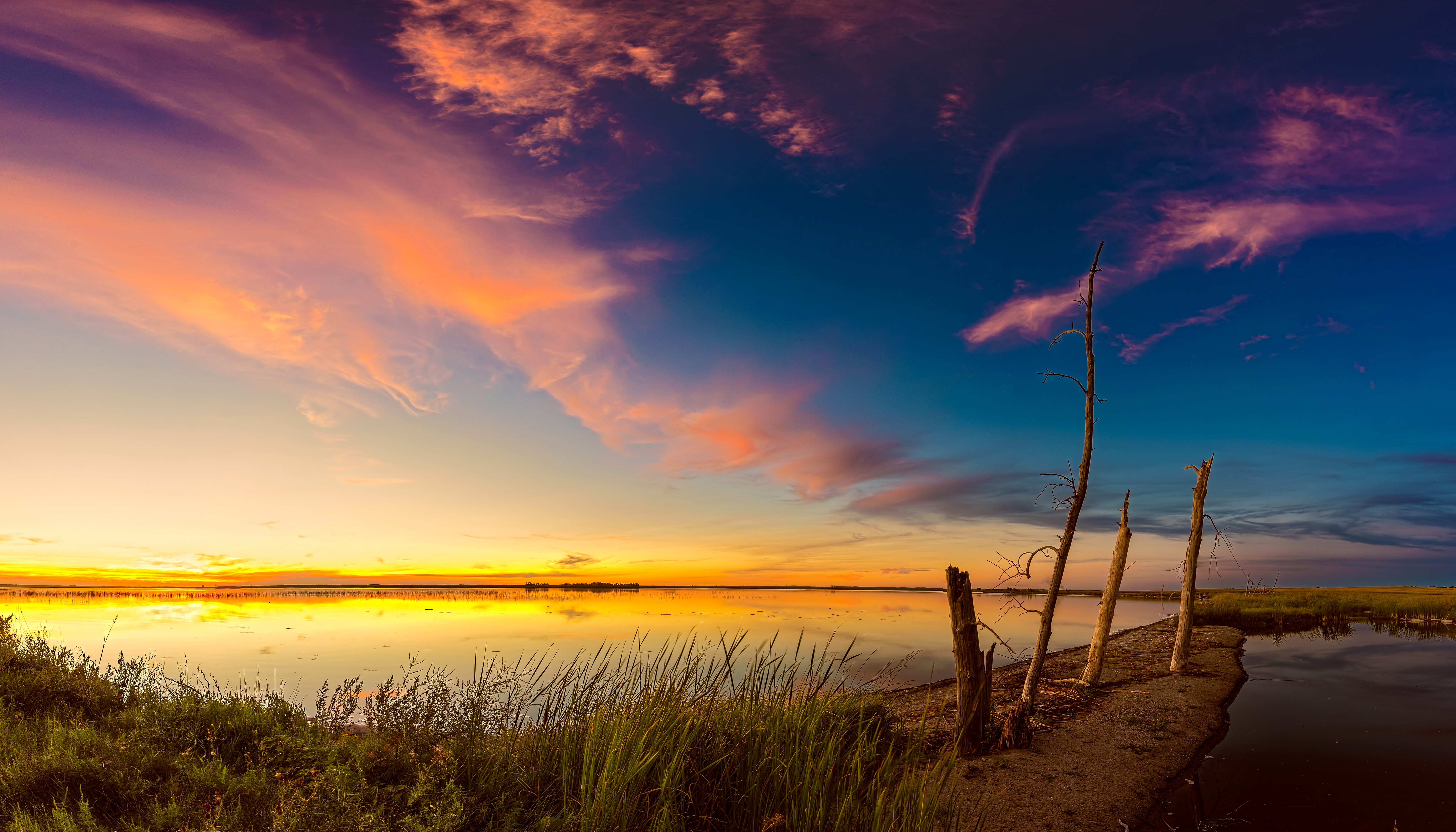 Sunset over a calm lake with dead trees HD Wallpaper