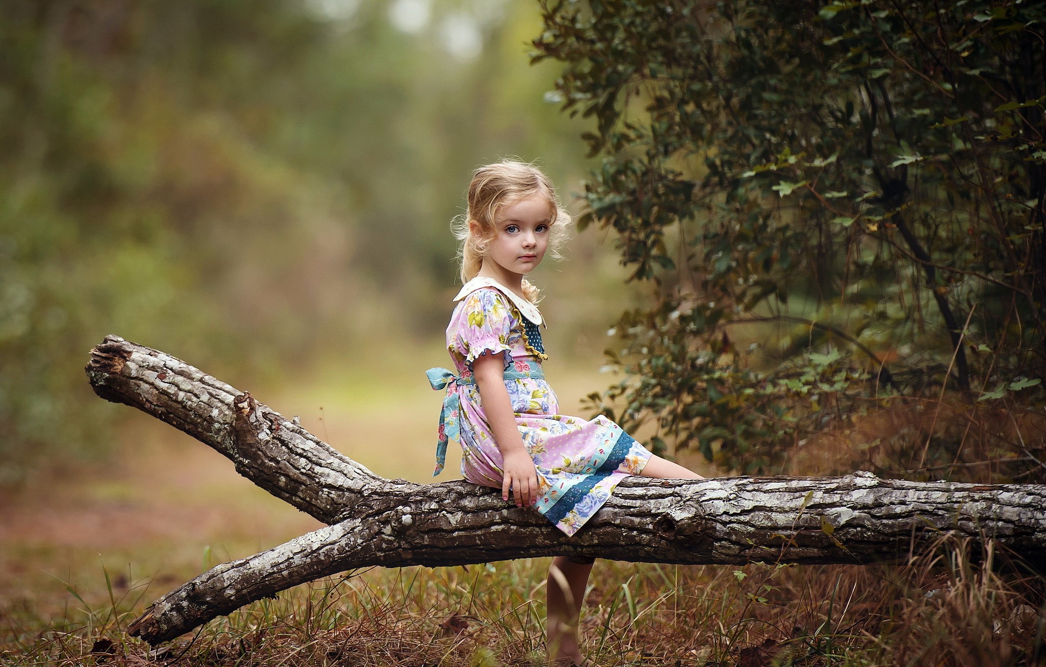 Young girl sitting on a fallen tree branch HD Wallpaper