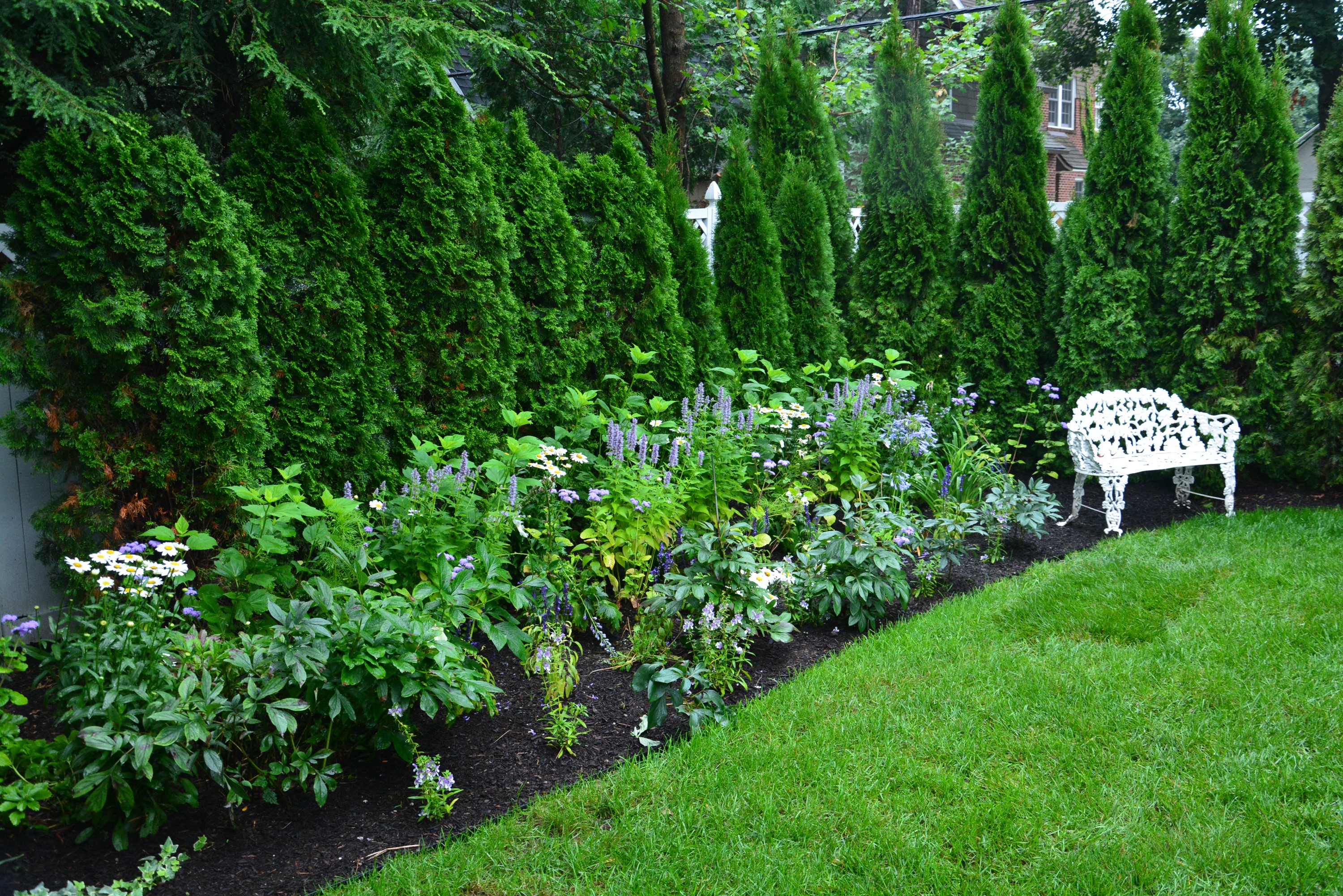 Garden with evergreen trees, flowers, and a bench HD Wallpaper