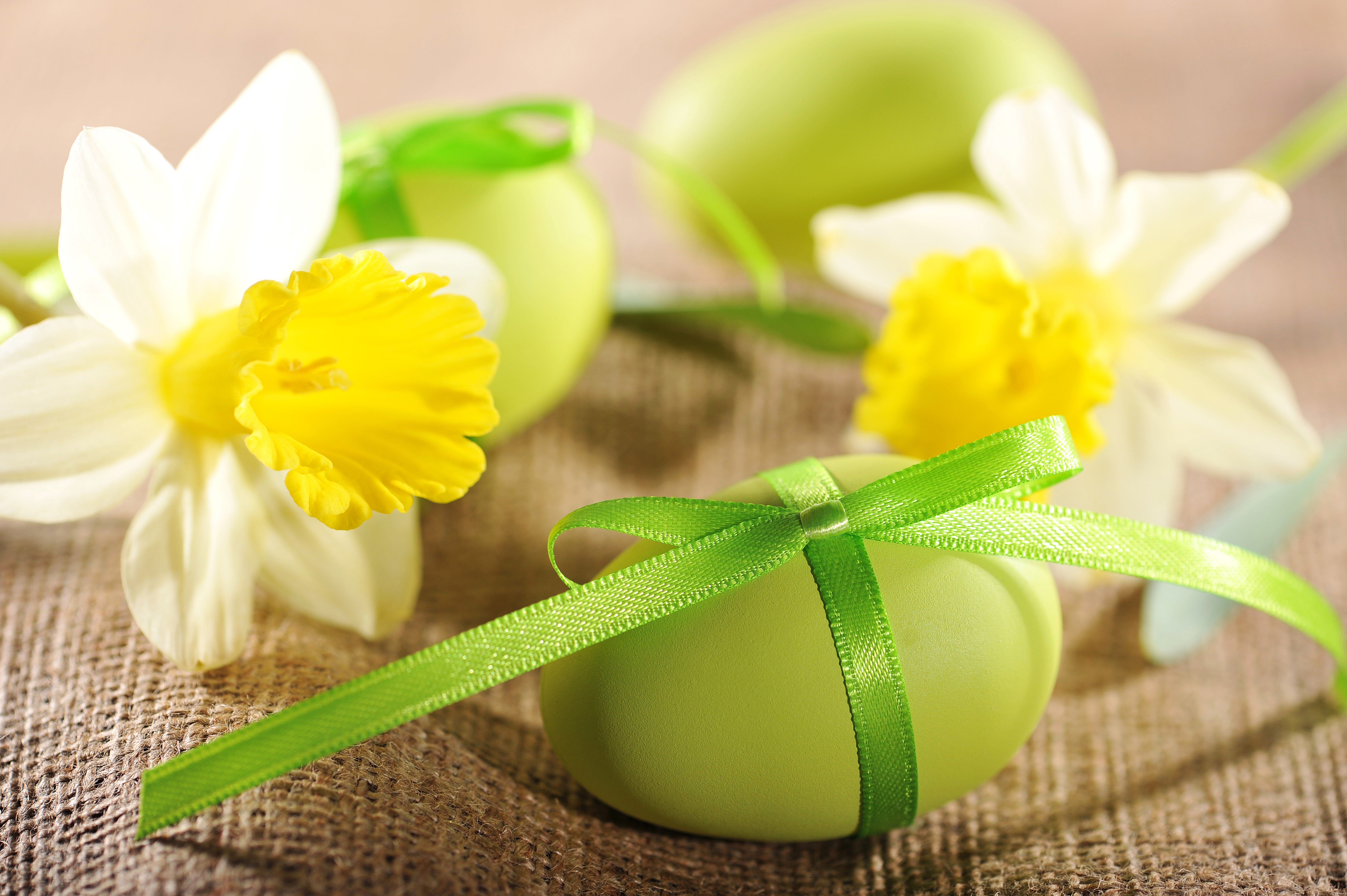 Easter eggs and daffodils on burlap HD Wallpaper