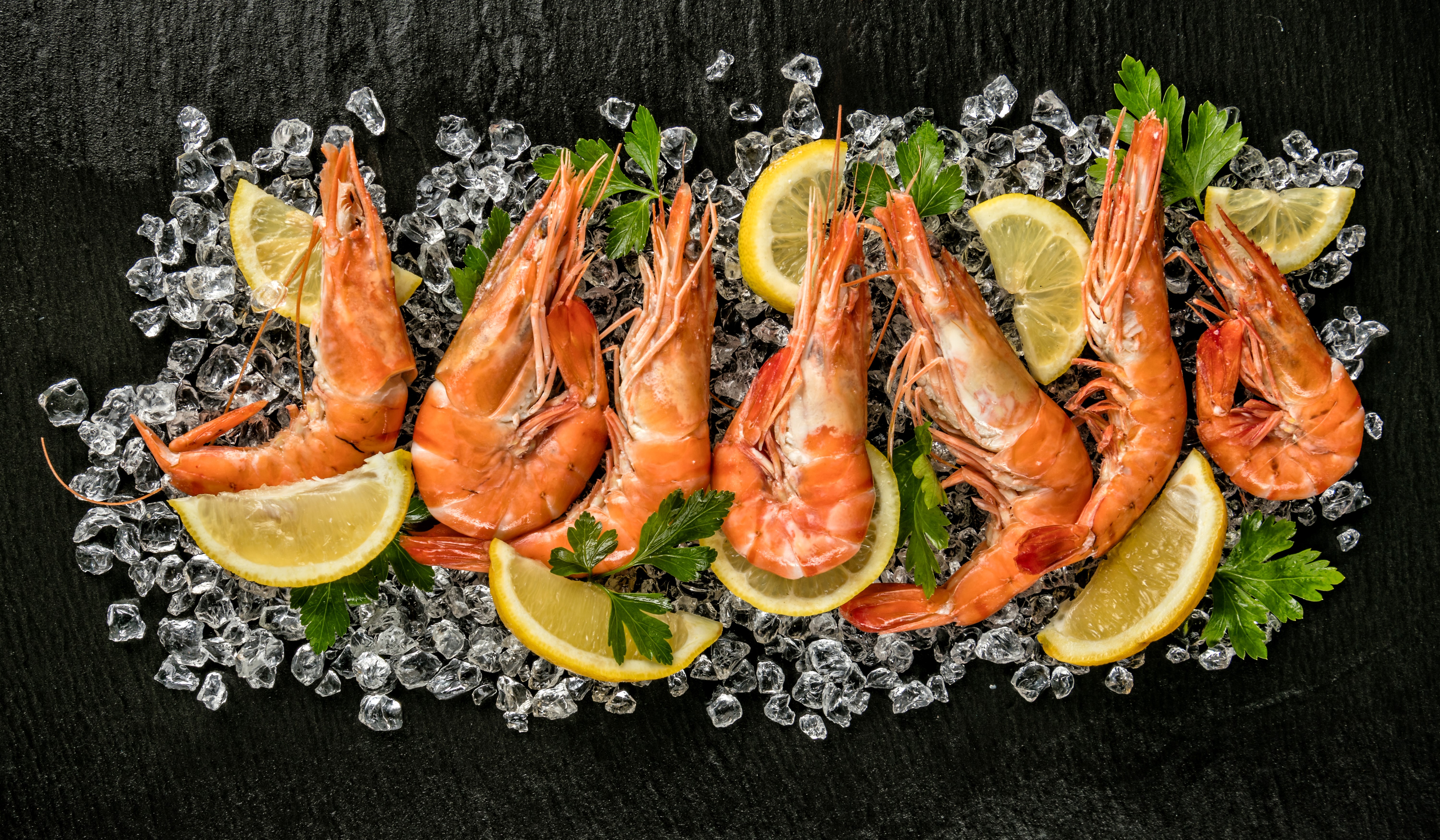 Shrimp with Lemons and Ice HD Wallpaper