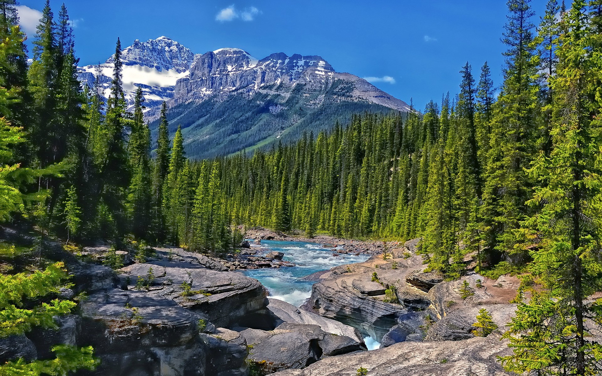River flowing through a forest with snow-capped mountains HD Wallpaper