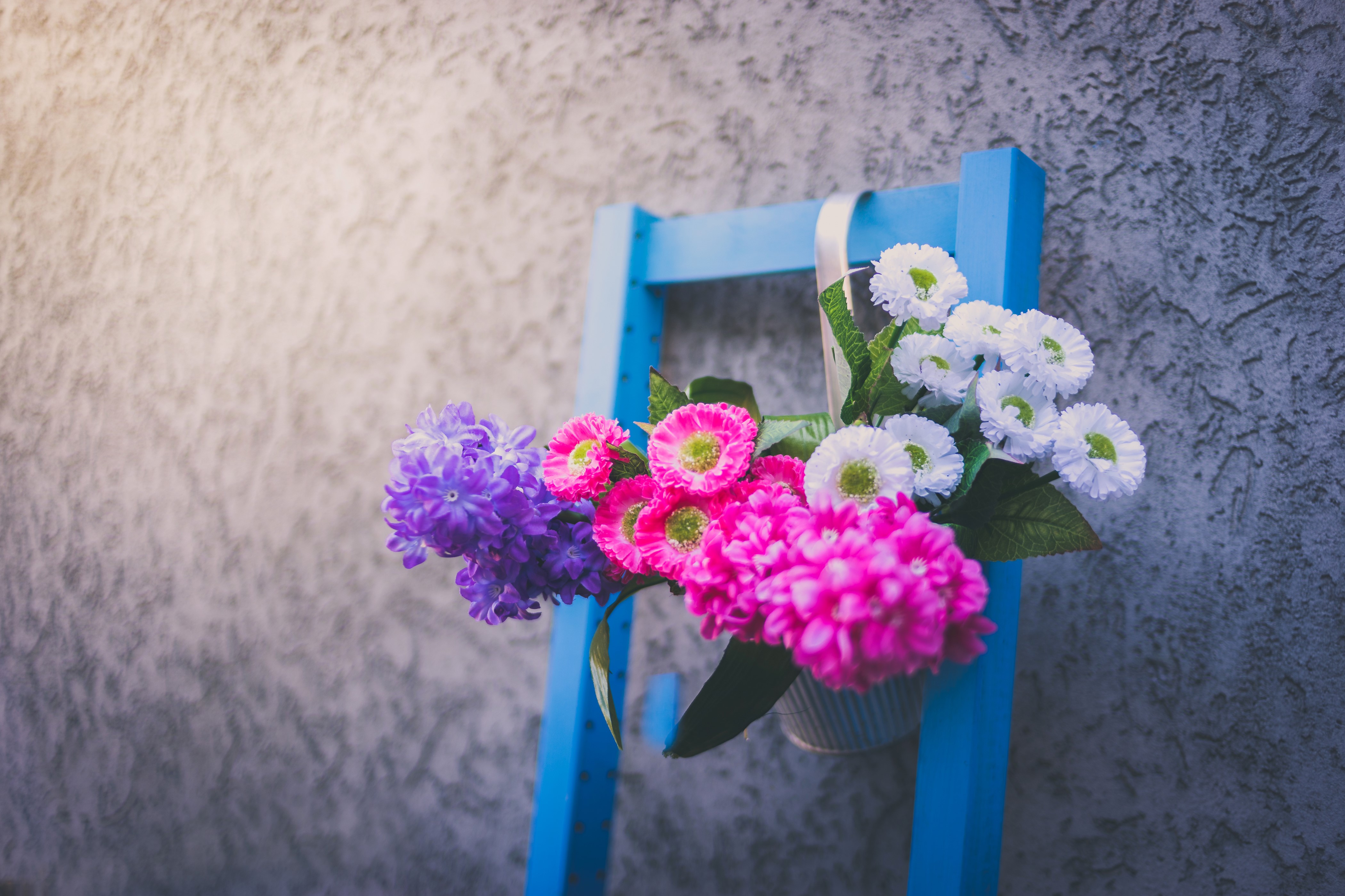 Bouquet of Hyacinths and Bellis flowers on a blue ladder HD Wallpaper