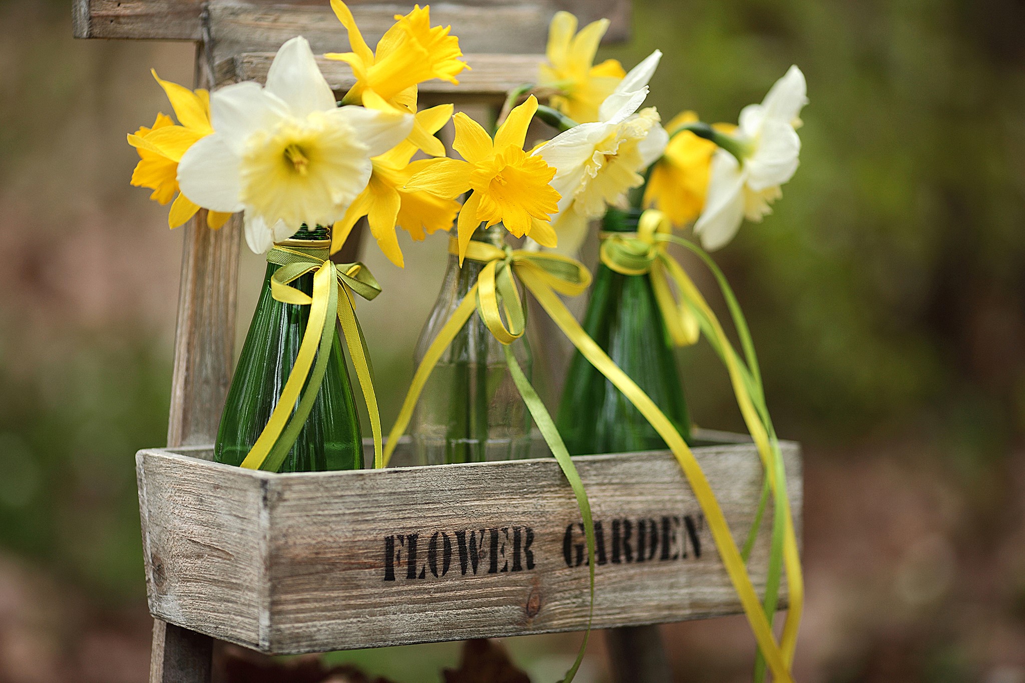 Daffodils in vases in a wooden crate HD Wallpaper