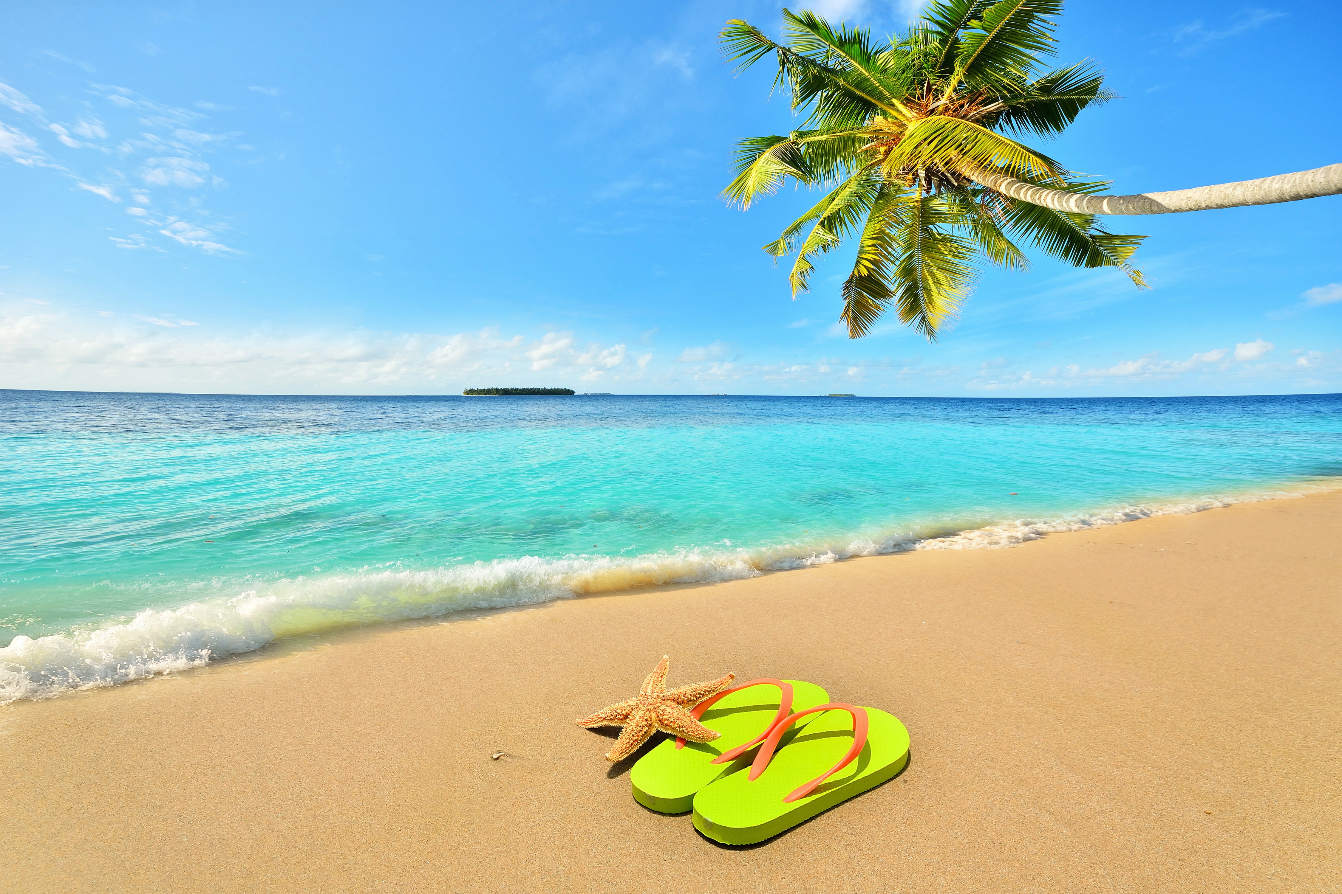 4K Beach with Palm Tree and Flip-flops HD Wallpaper