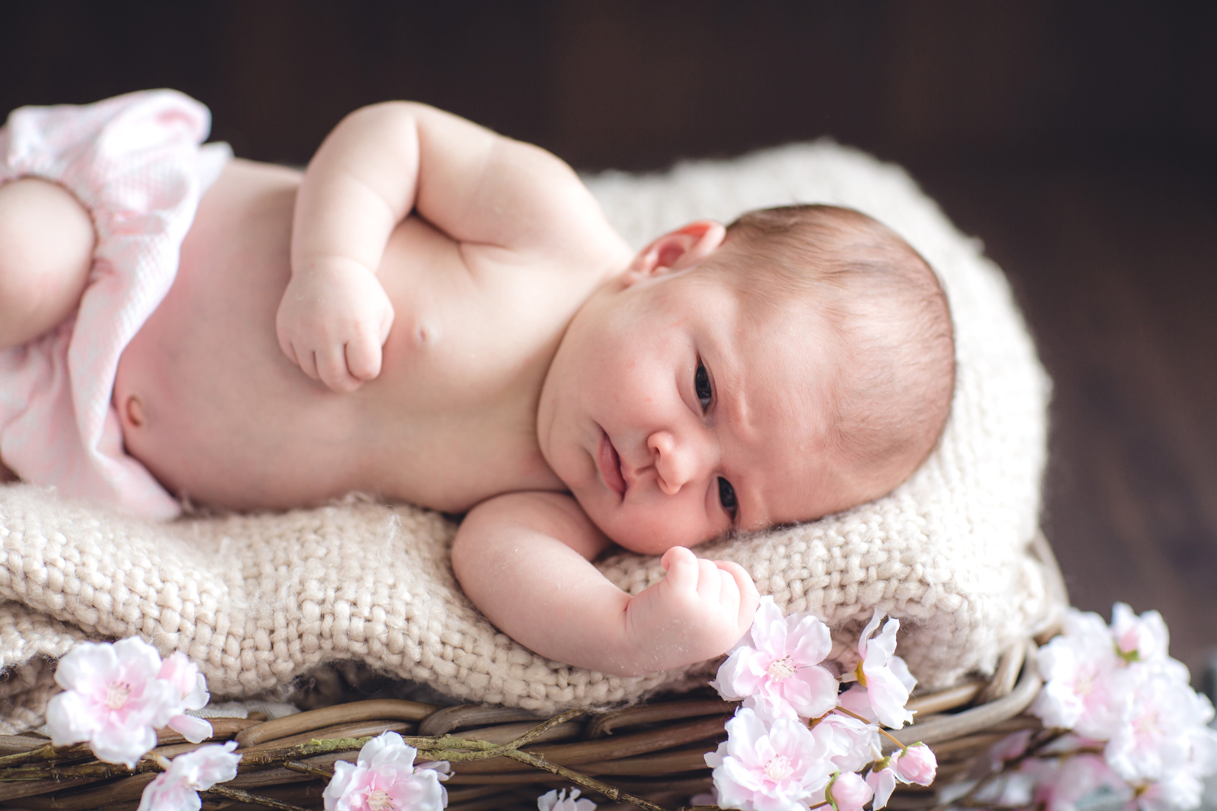 Newborn baby lying in a basket with flowers HD Wallpaper