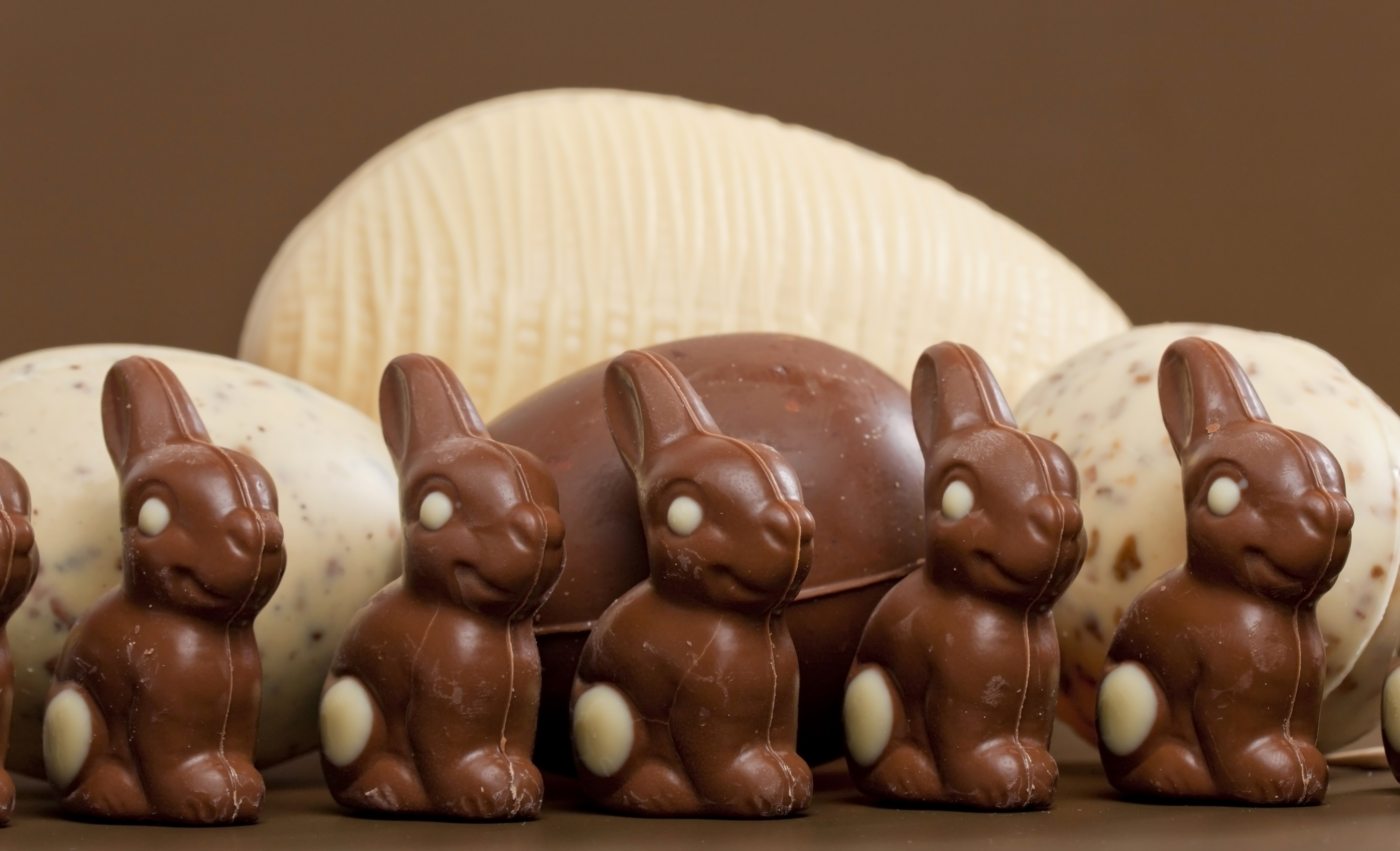 Chocolate Easter Bunnies and Eggs HD Wallpaper