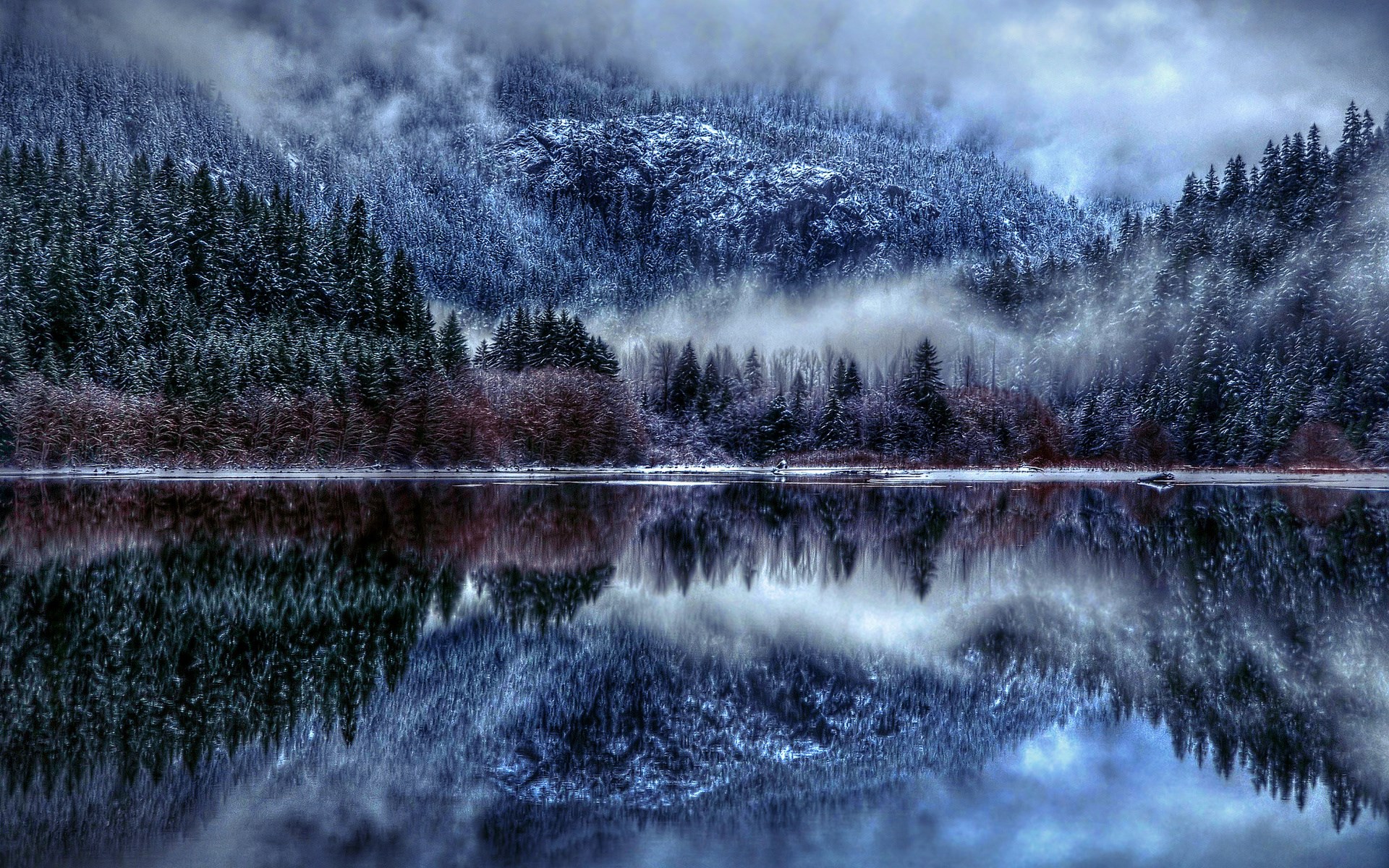 Snowy Forest Reflected in a Calm Lake HD Wallpaper
