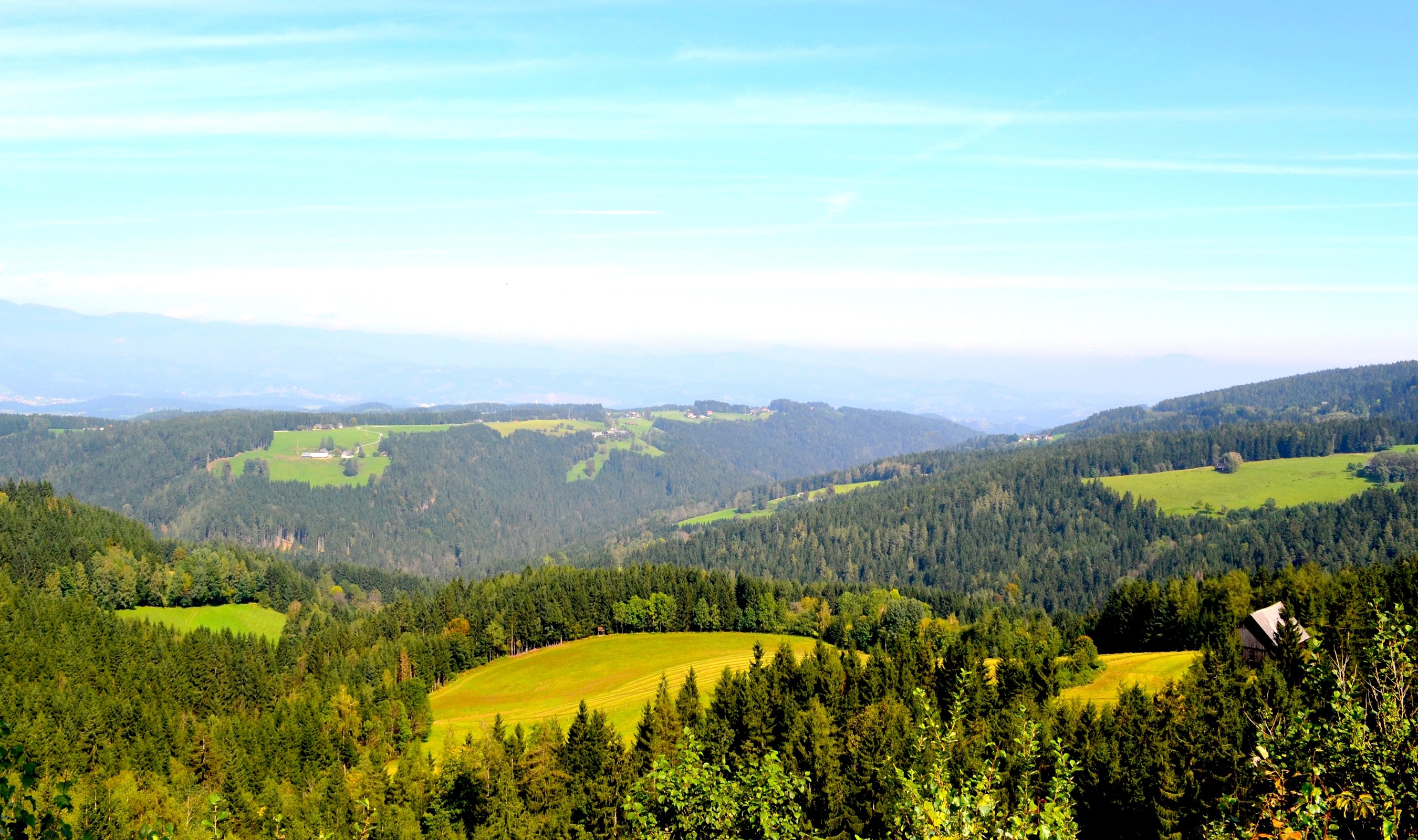 Austrian Forested Hills and Valleys with Green Fields HD Wallpaper