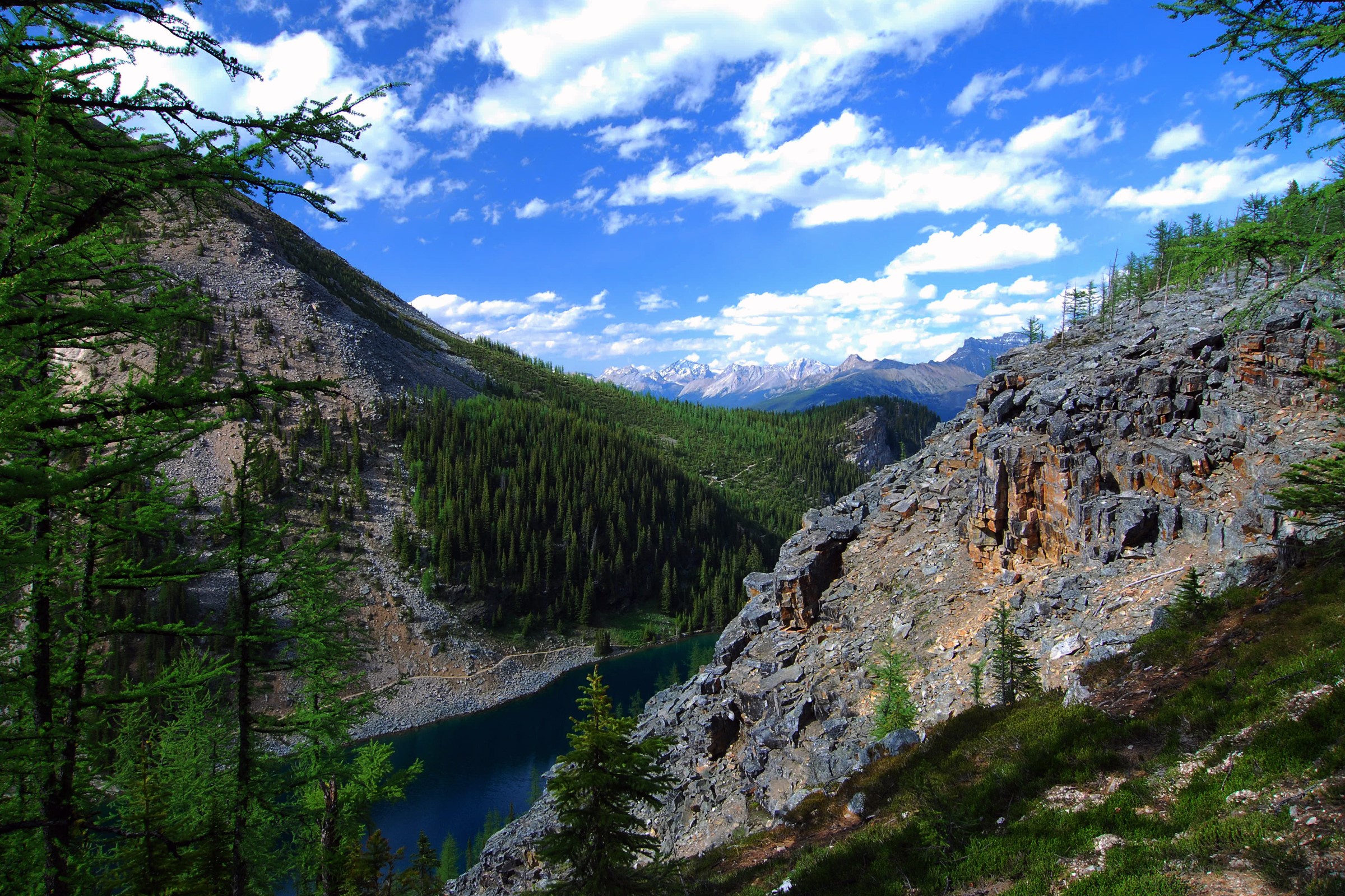 Lake Louise Canada Mountains and Forest HD Wallpaper