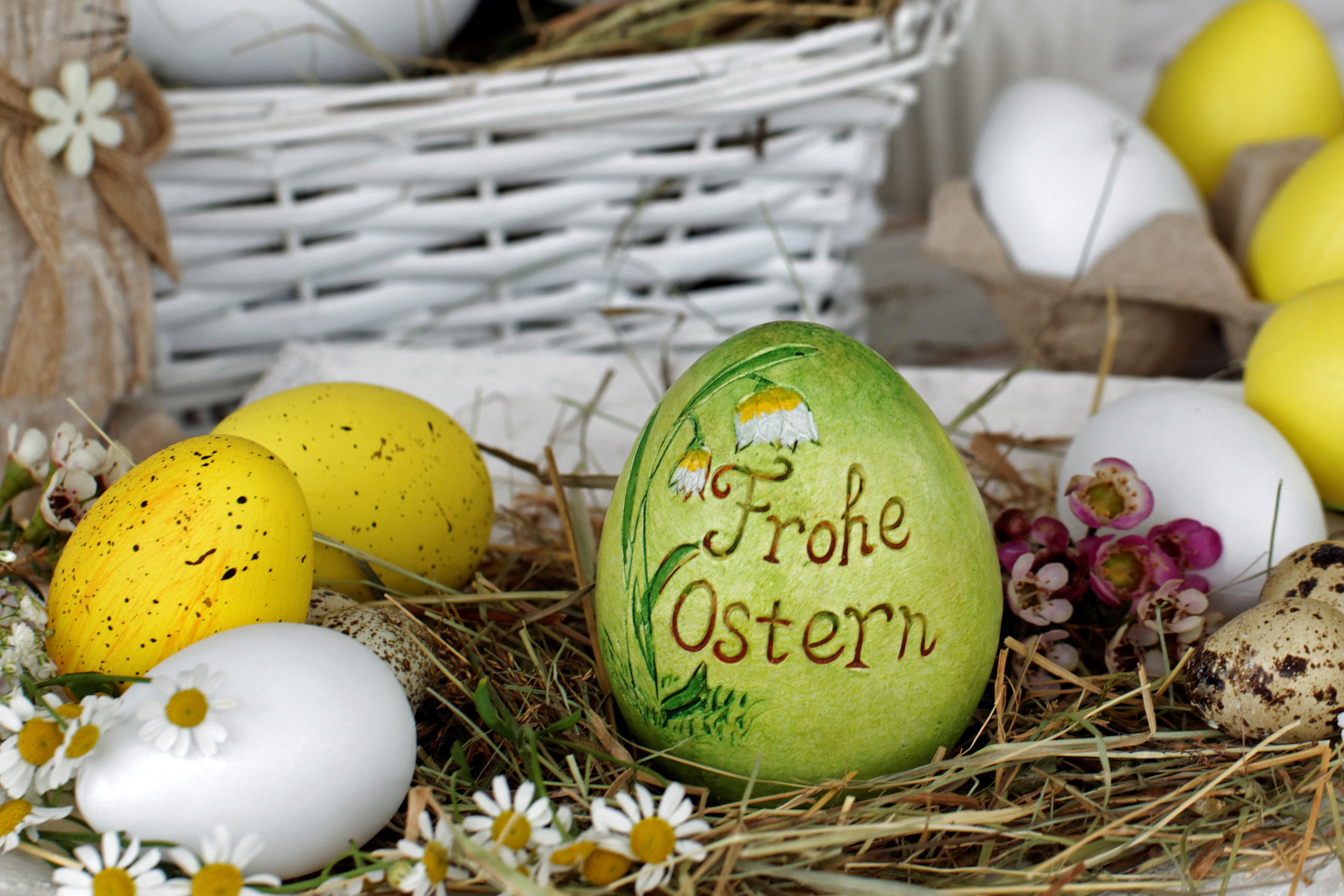 Easter eggs with "Frohe Ostern" text and camomiles HD Wallpaper