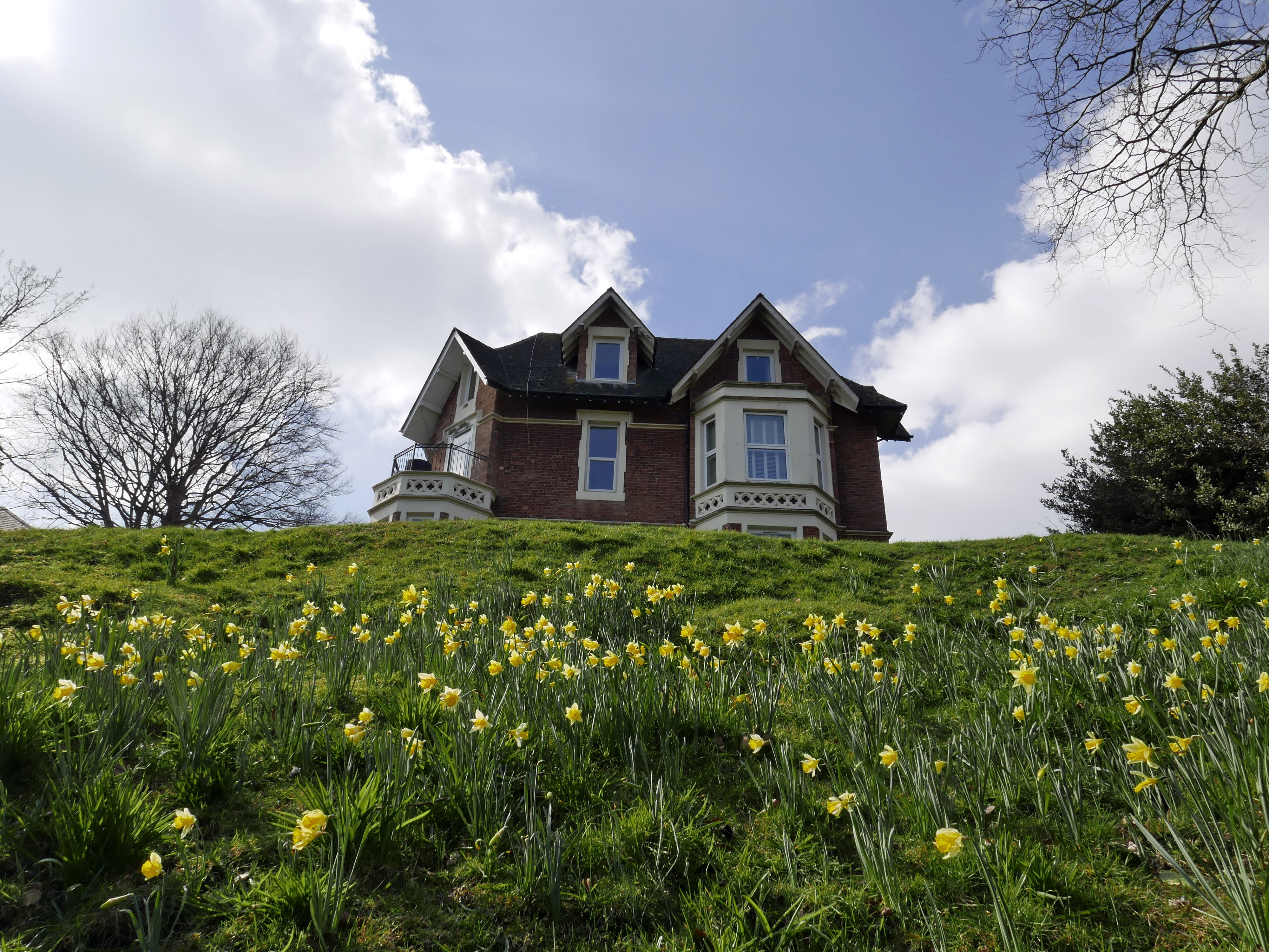 House on a hill with daffodils HD Wallpaper