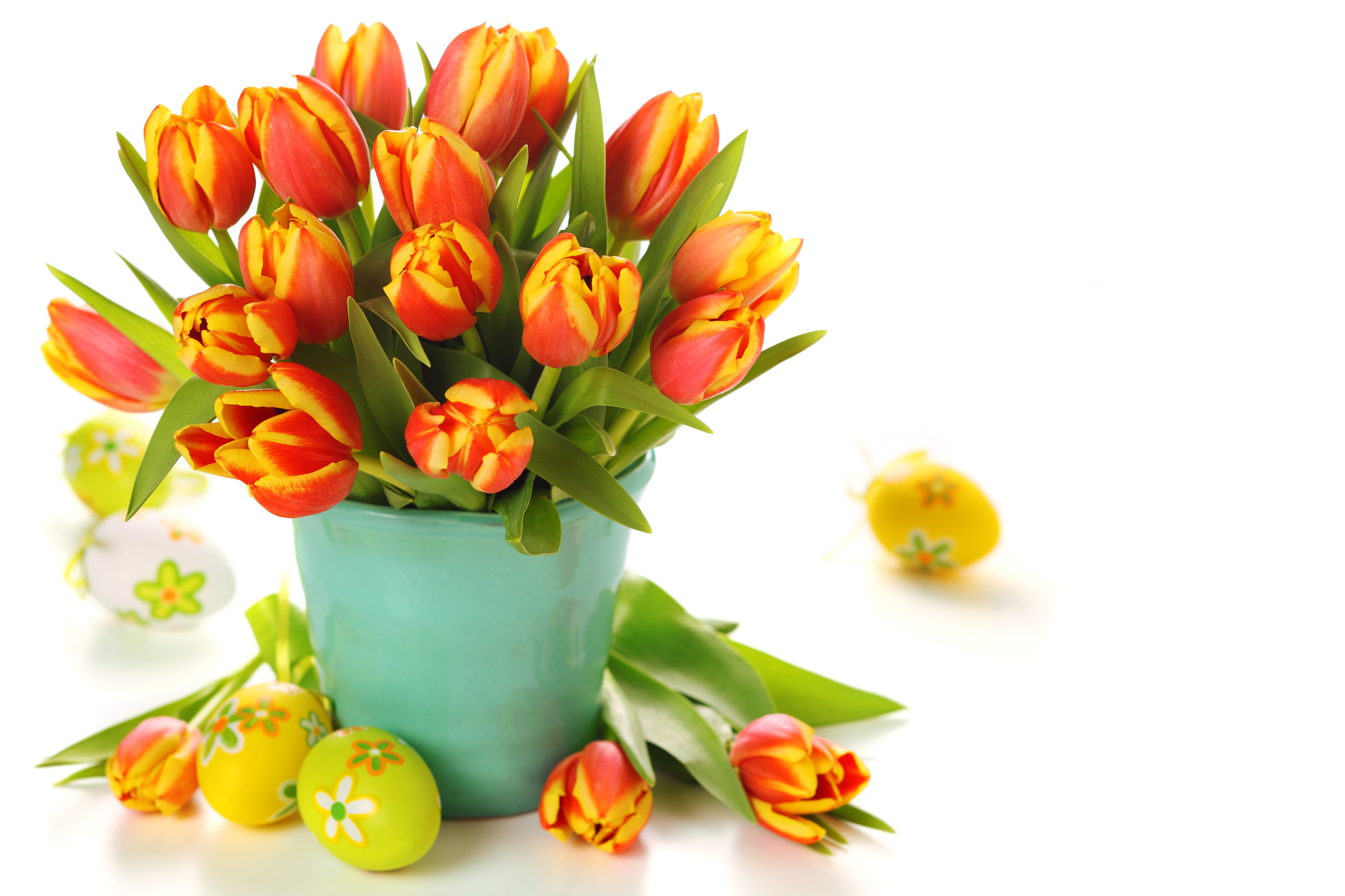 Easter Tulips and Eggs HD Wallpaper
