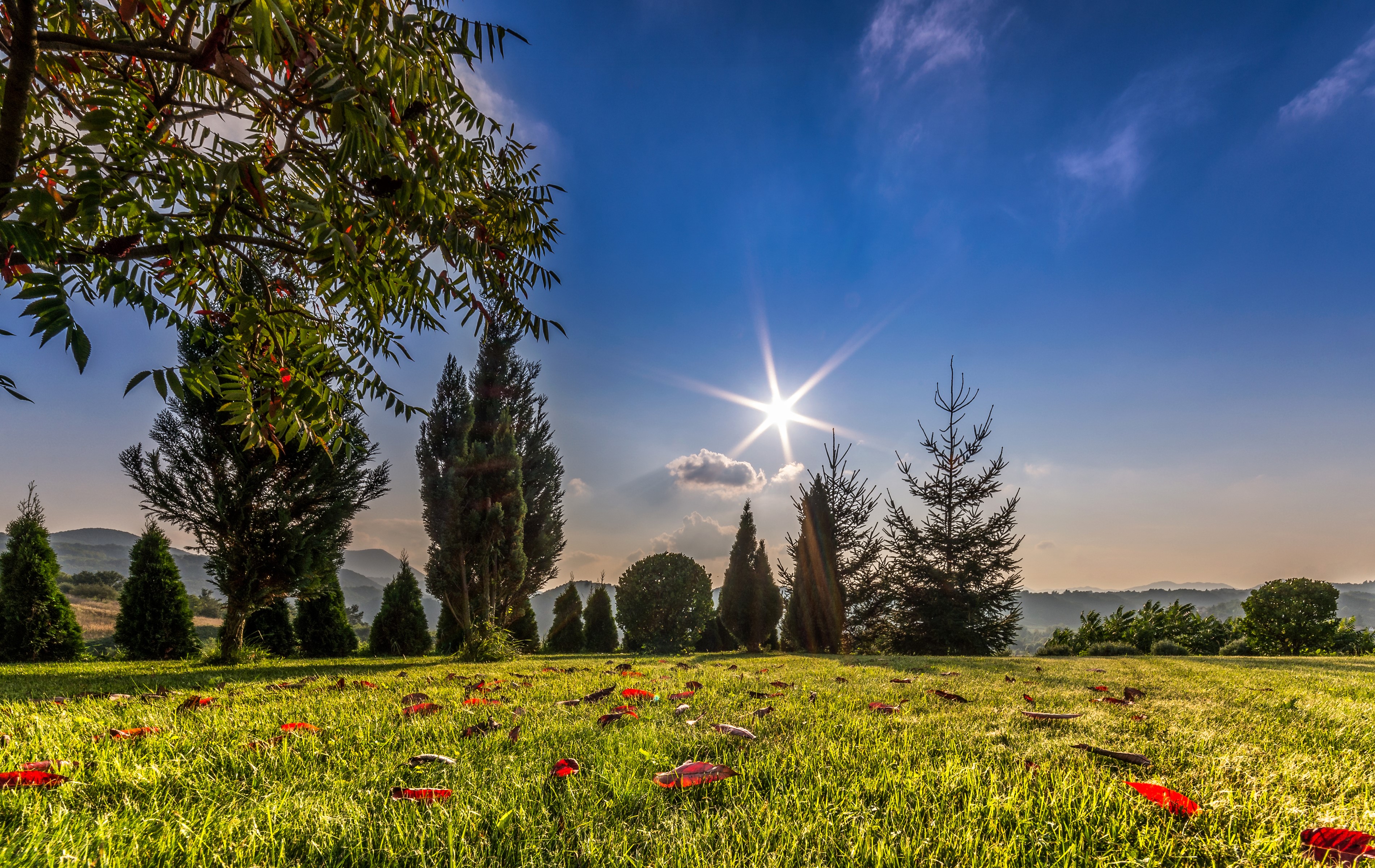Scenery with trees and grass in Trakoscan, Croatia HD Wallpaper