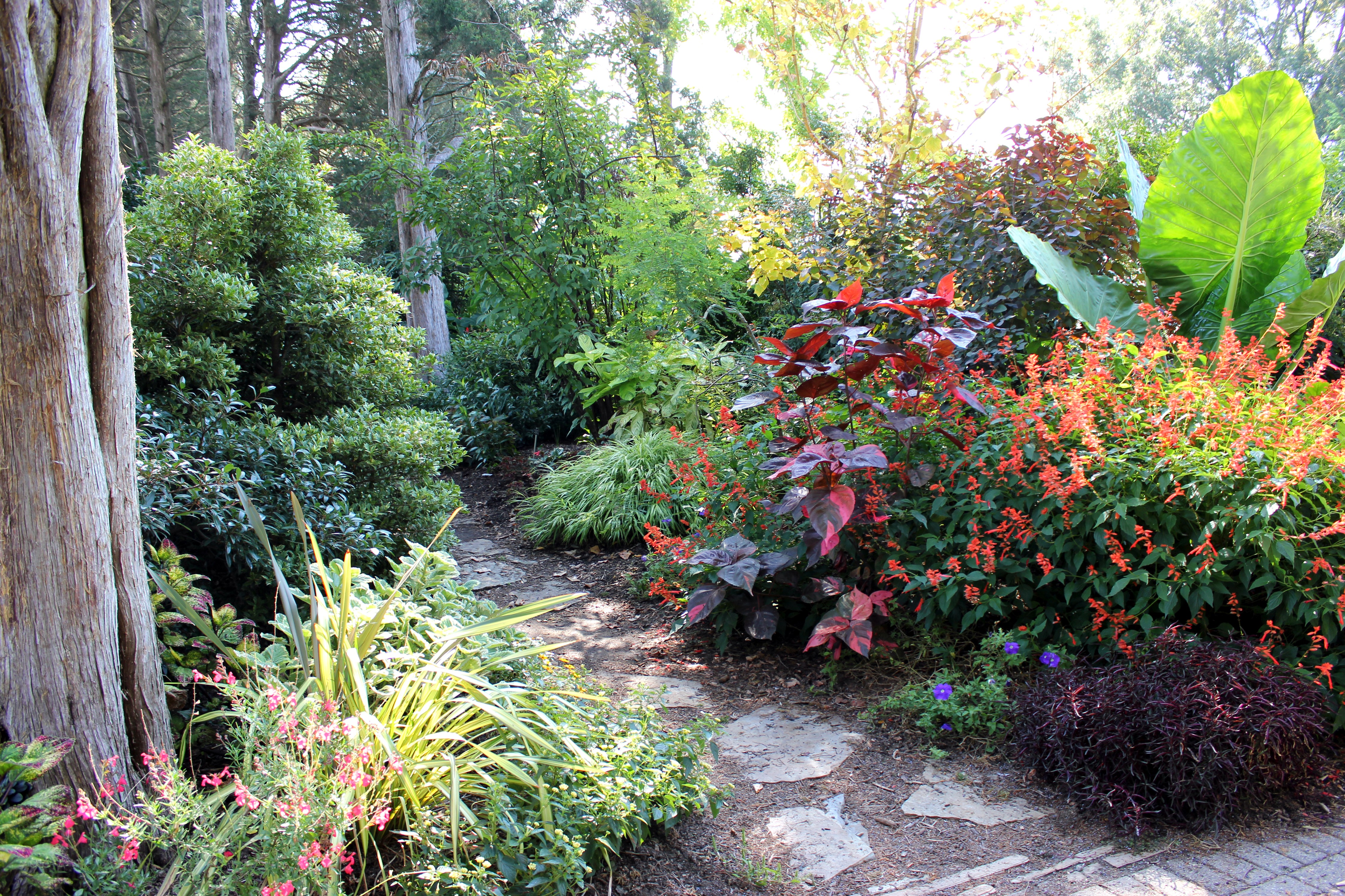 Garden path with colorful plants and trees HD Wallpaper