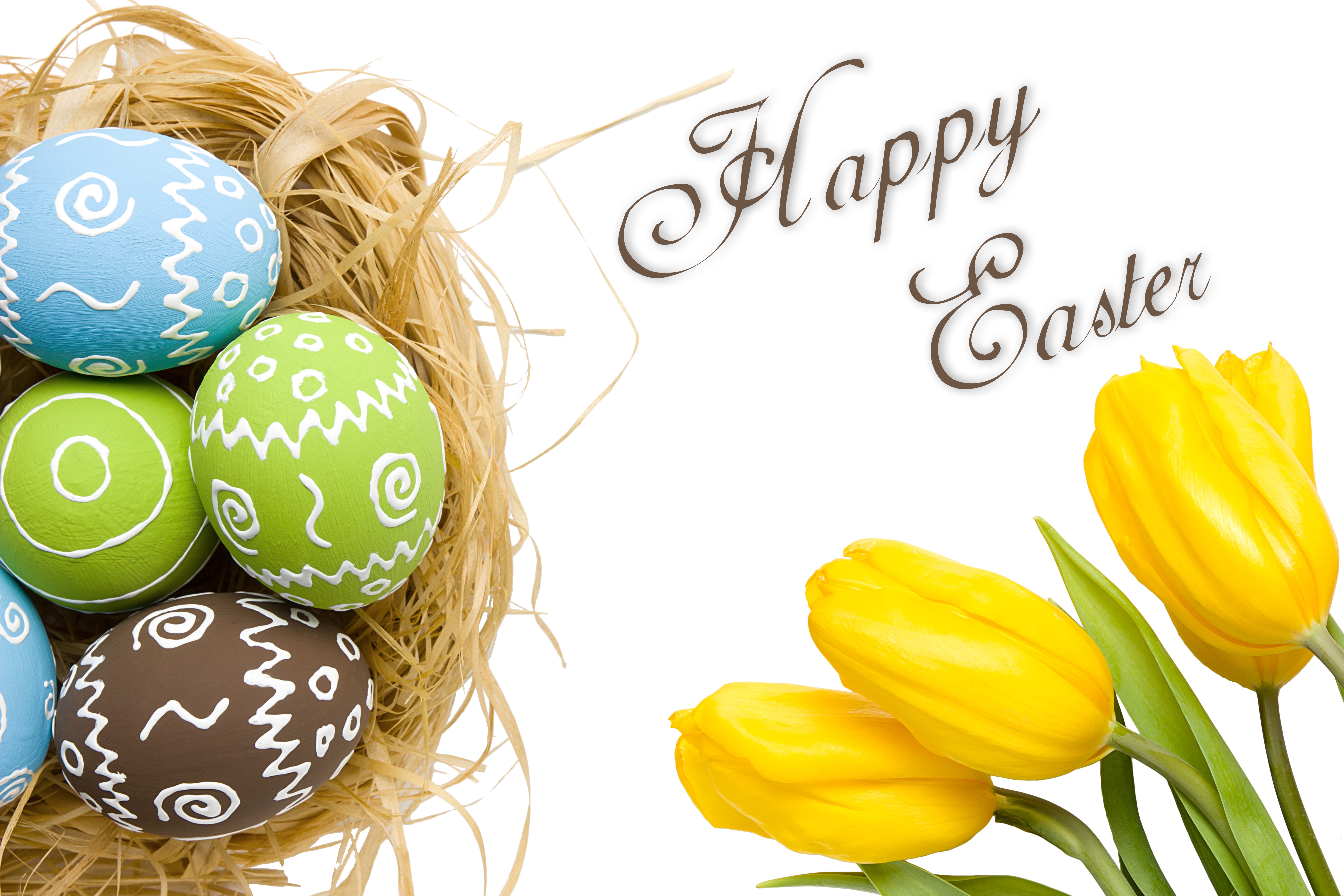 Easter eggs in a nest with yellow tulips HD Wallpaper