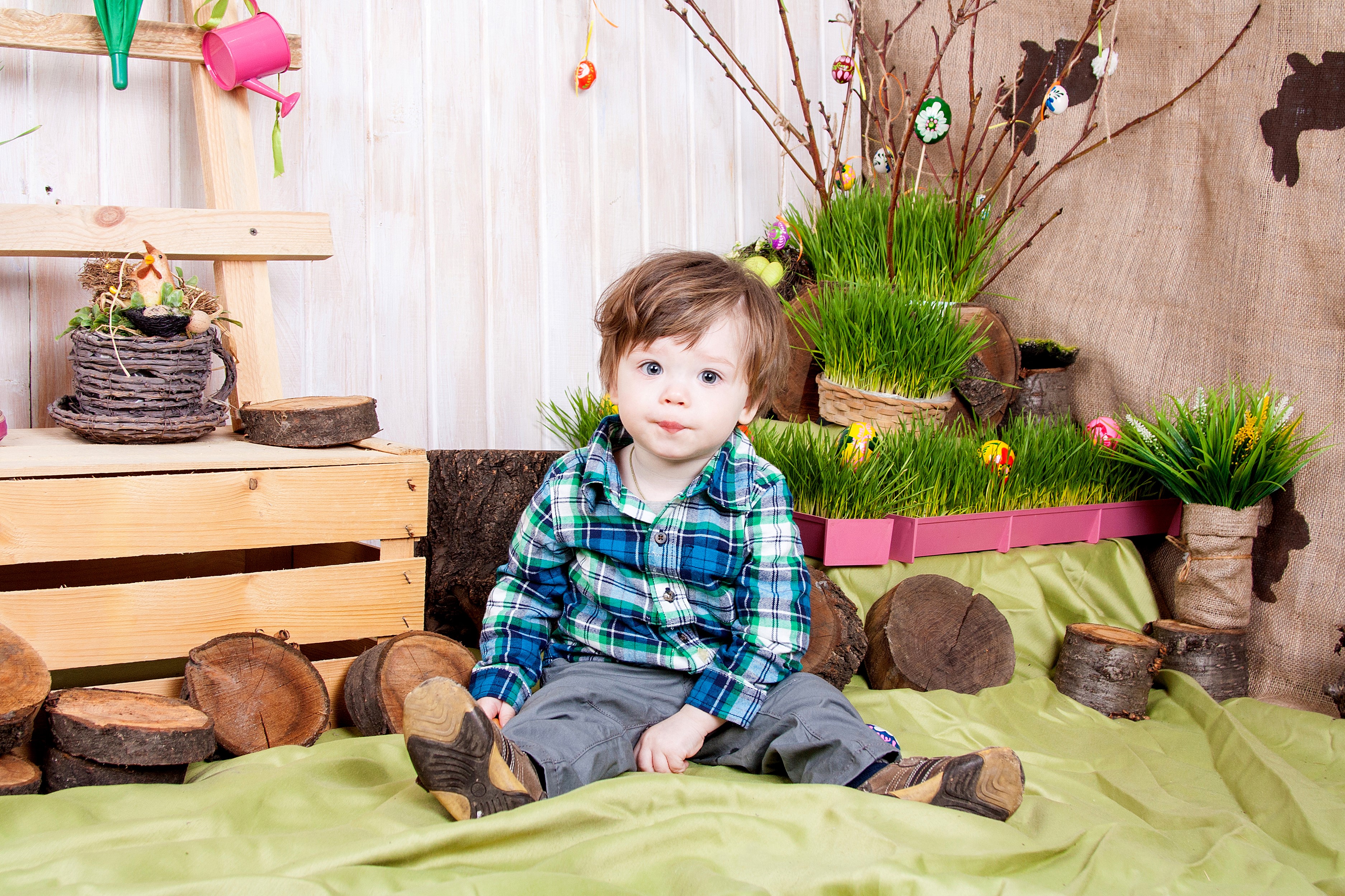 Toddler boy in plaid shirt sitting for Easter photoshoot HD Wallpaper