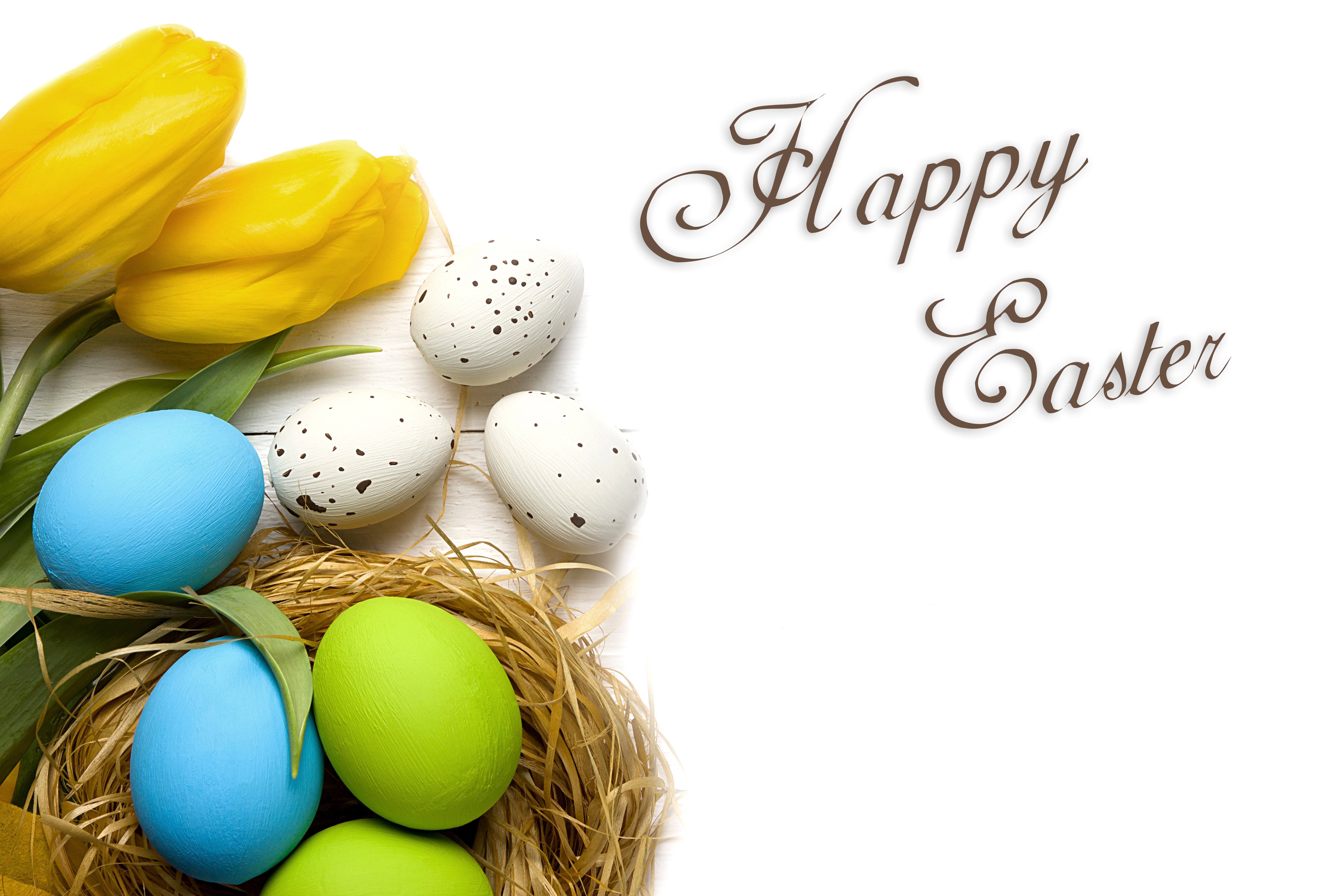 Happy Easter Tulips and Eggs in Nest HD Wallpaper
