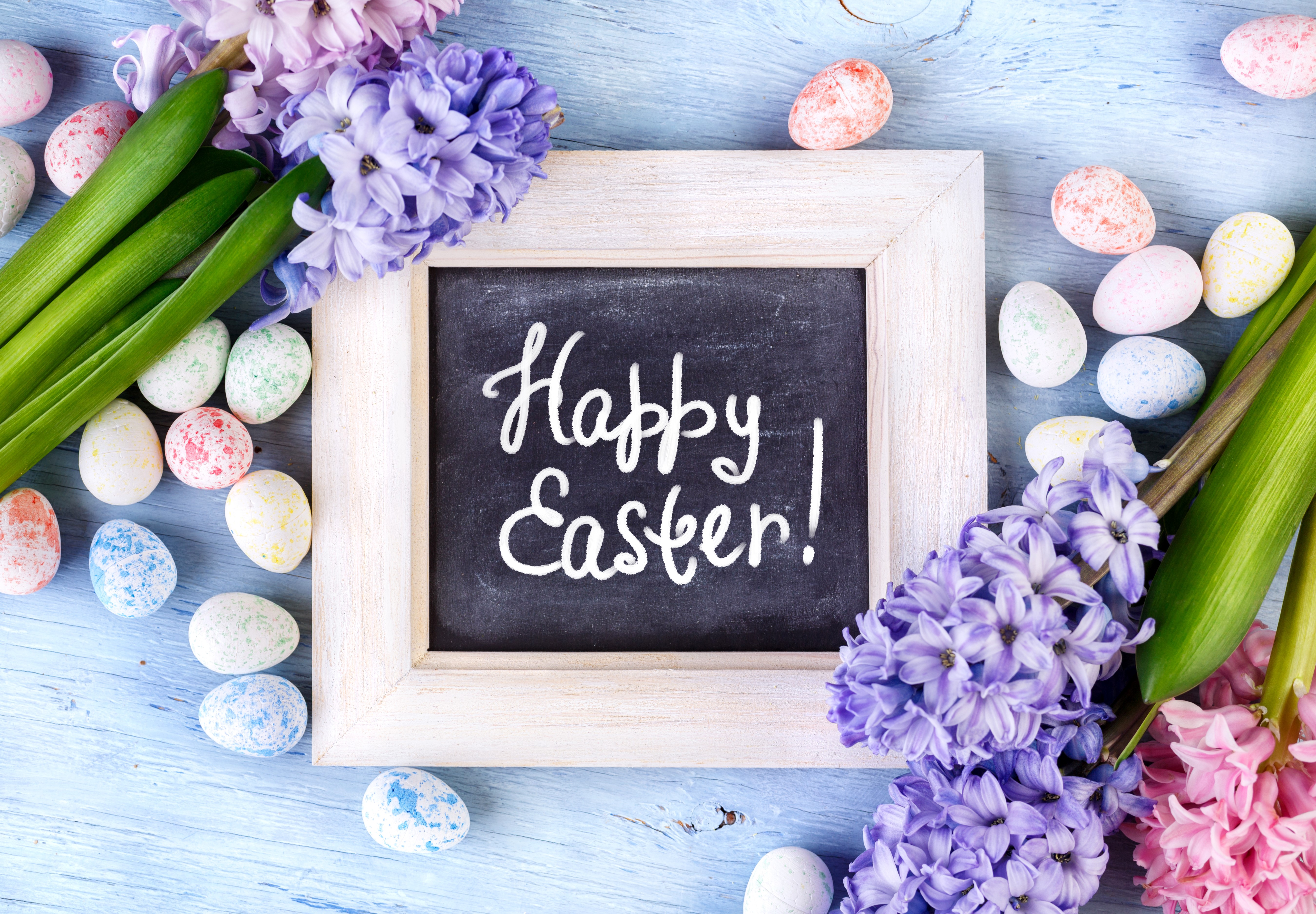 Happy Easter Hyacinths and Eggs HD Wallpaper