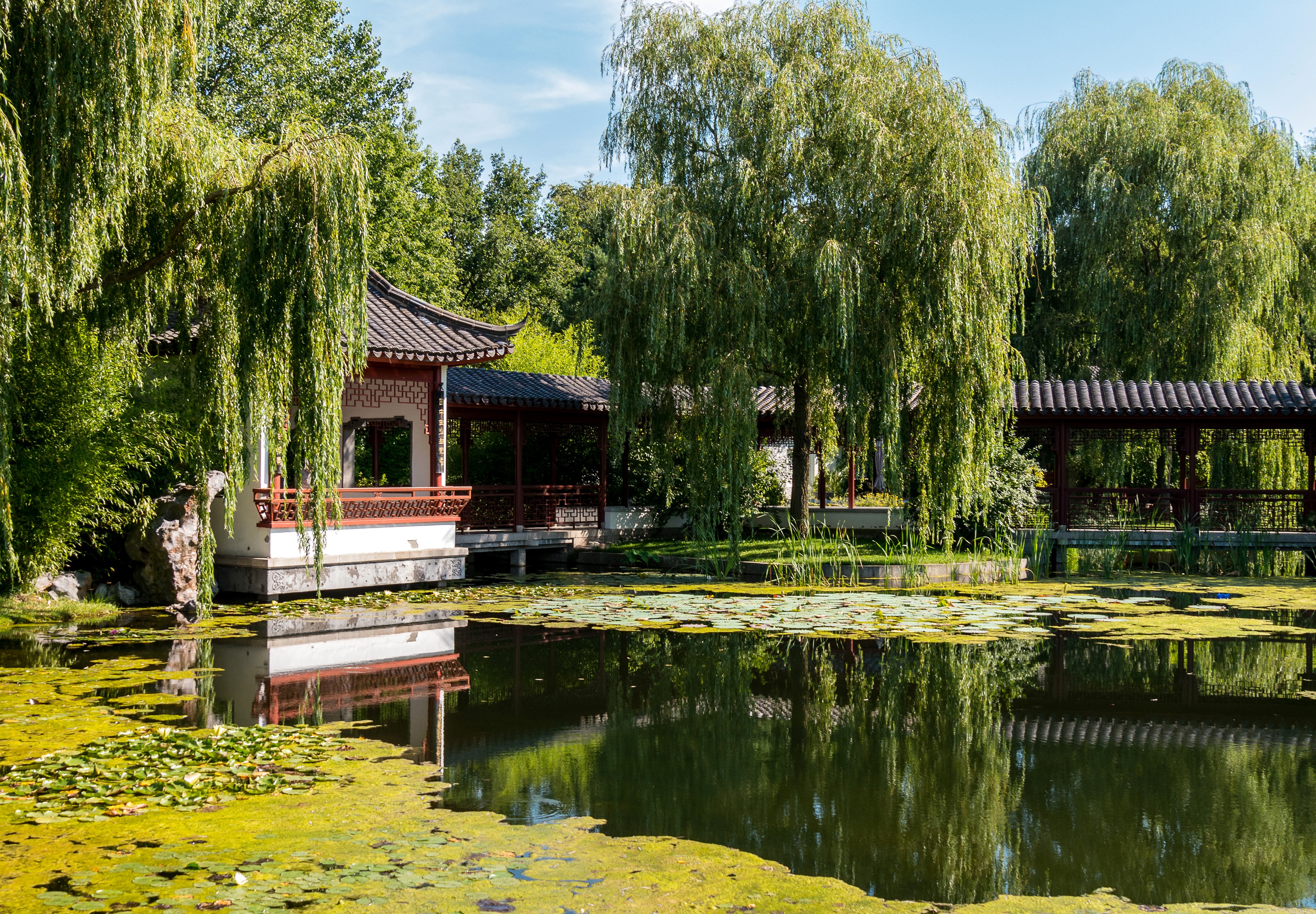 Pagodas and willow trees reflected in a pond at Erholungspark Marzahn, Berlin HD Wallpaper