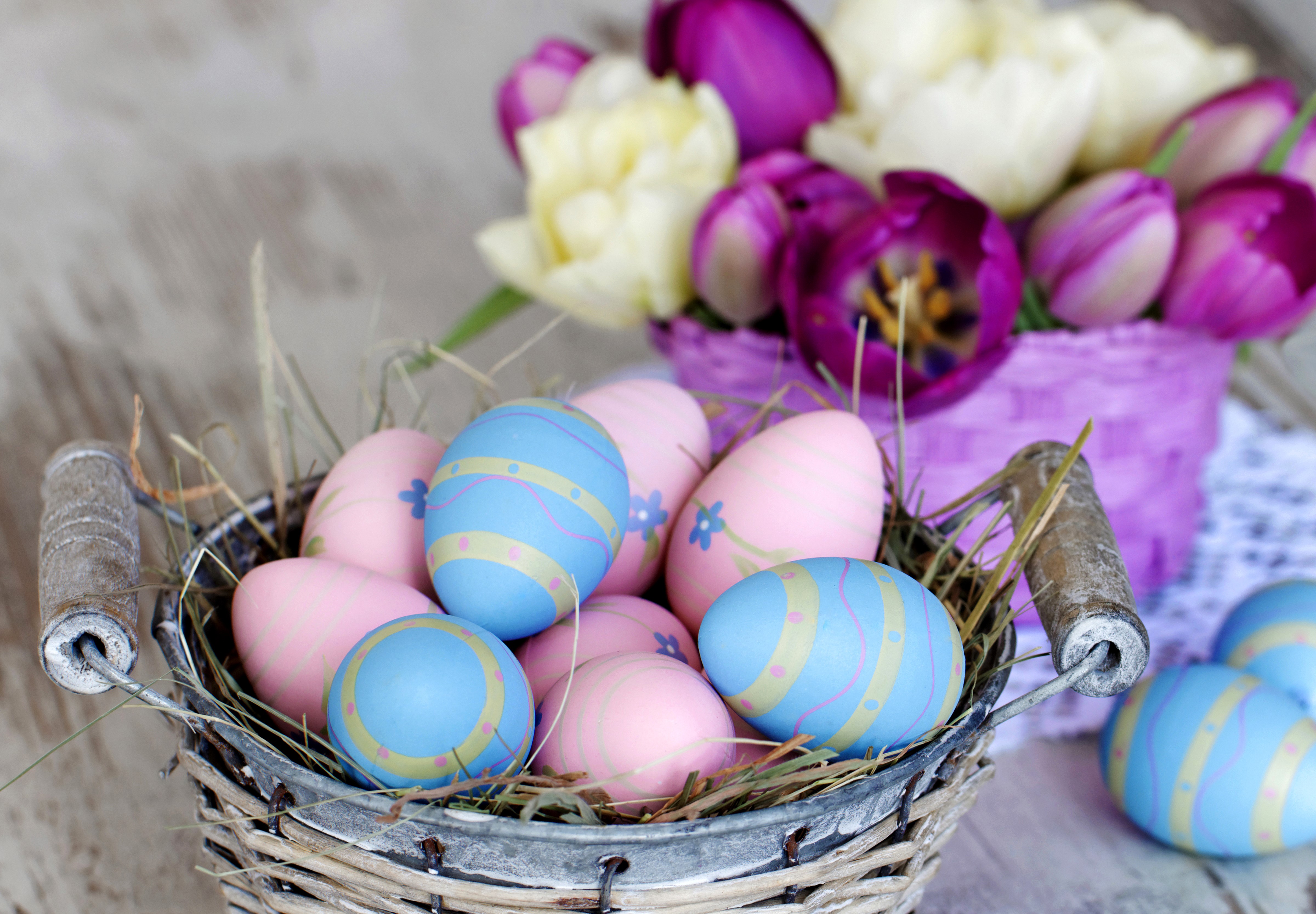 Easter eggs in a wicker basket with tulips HD Wallpaper