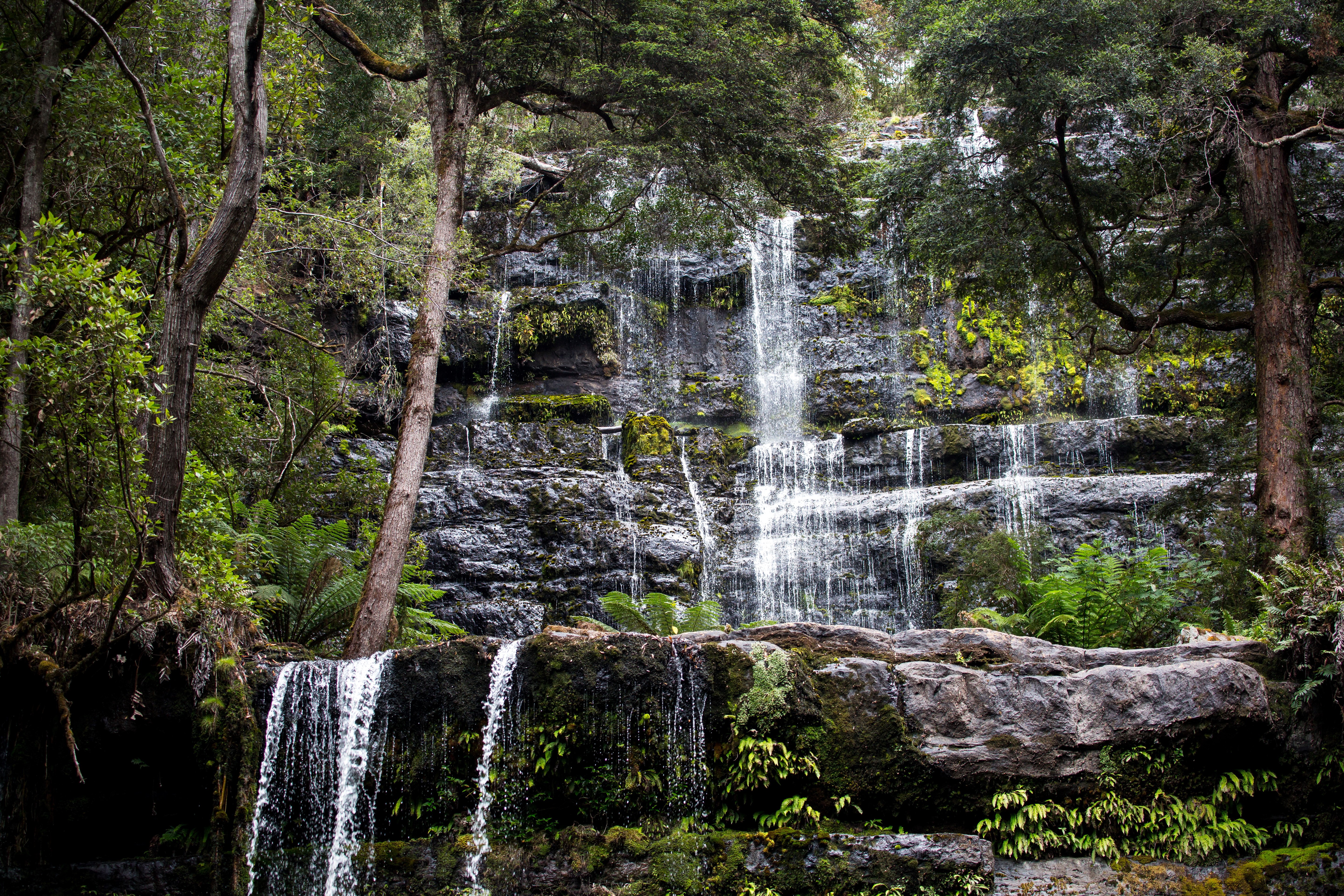 Russell Falls Waterfall Mount Field Tasmania Australia HD Wallpaper