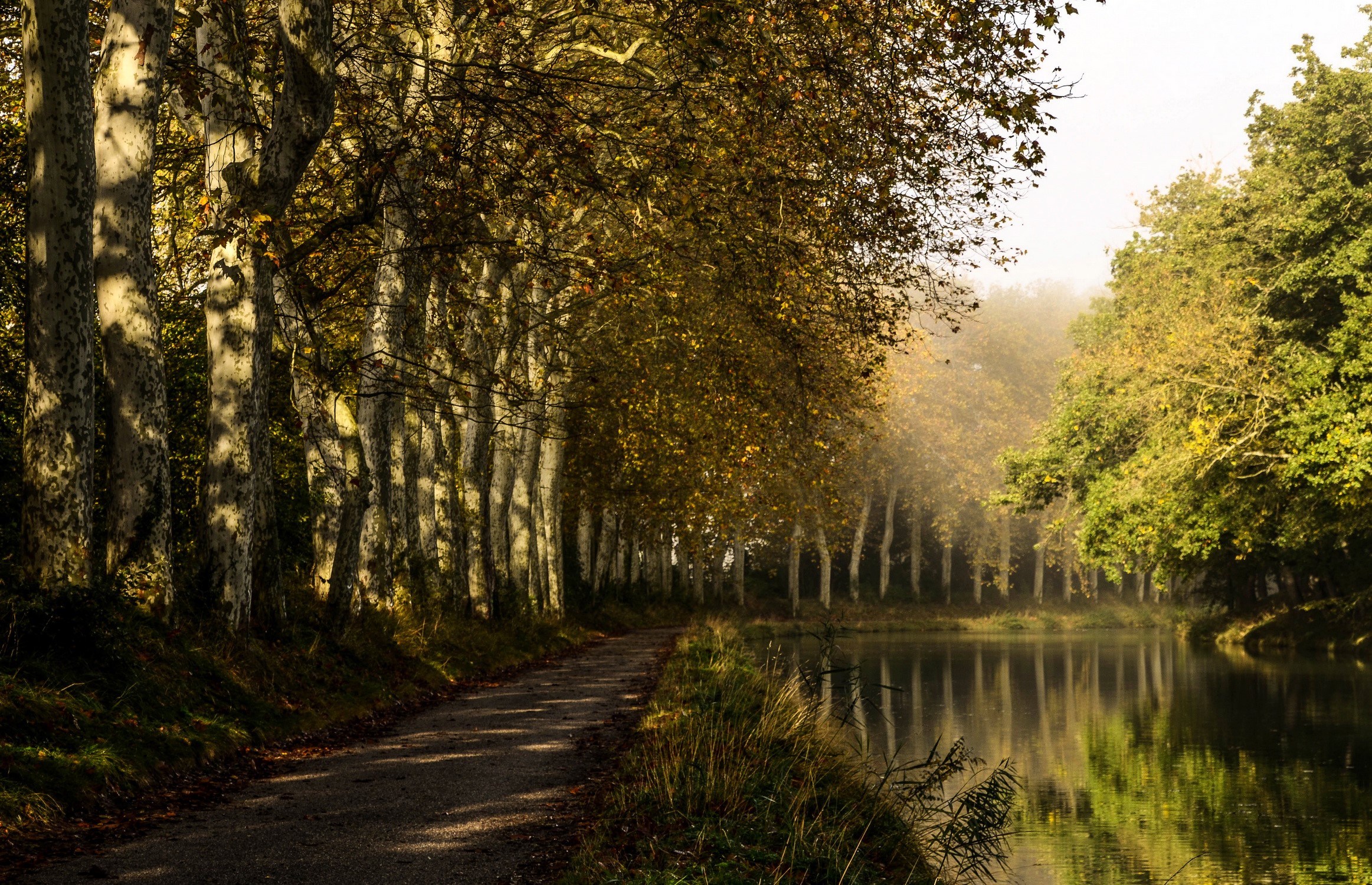 Canal du Midi in Castelnaudary, France HD Wallpaper
