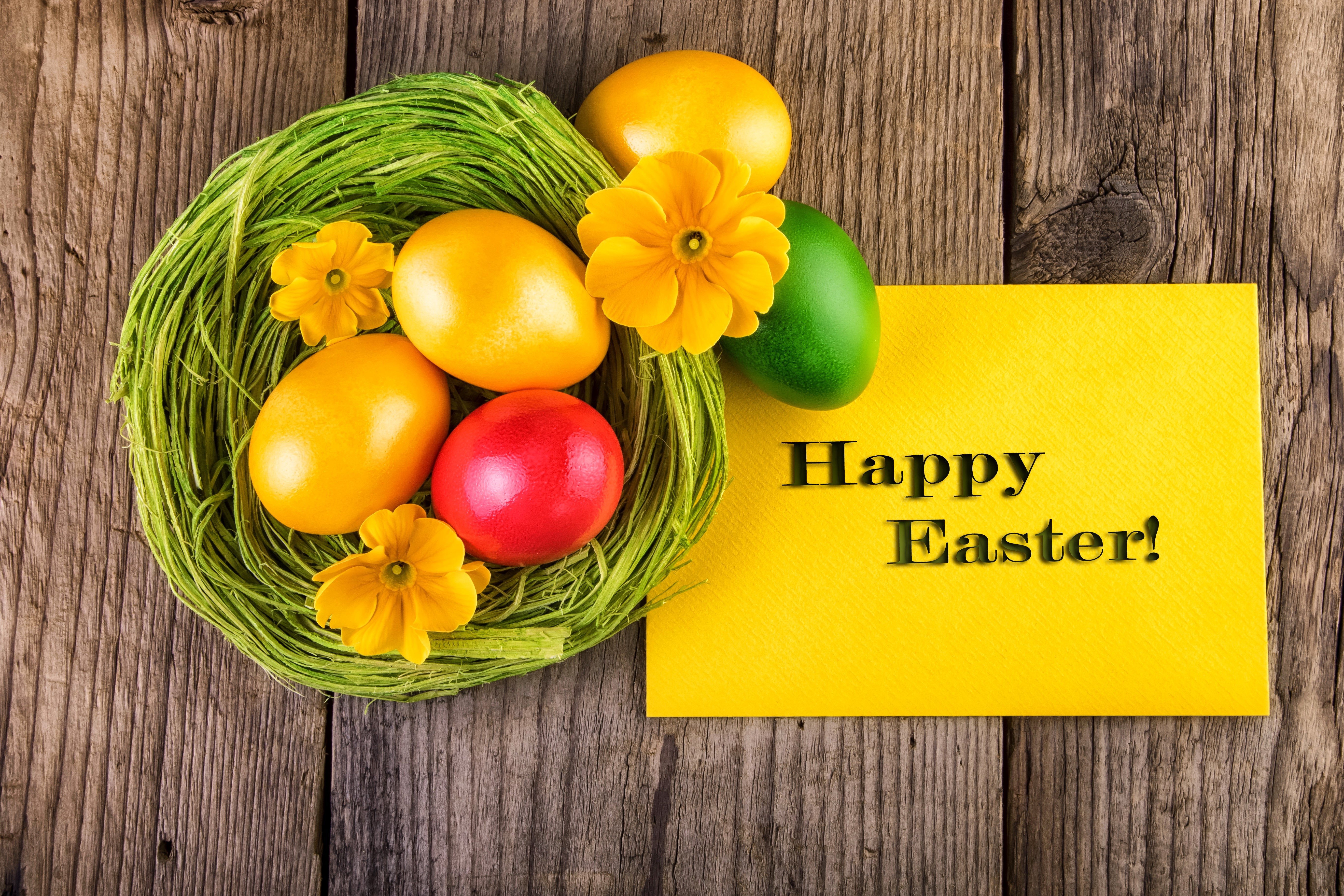 Easter eggs in a nest with flowers and a card HD Wallpaper