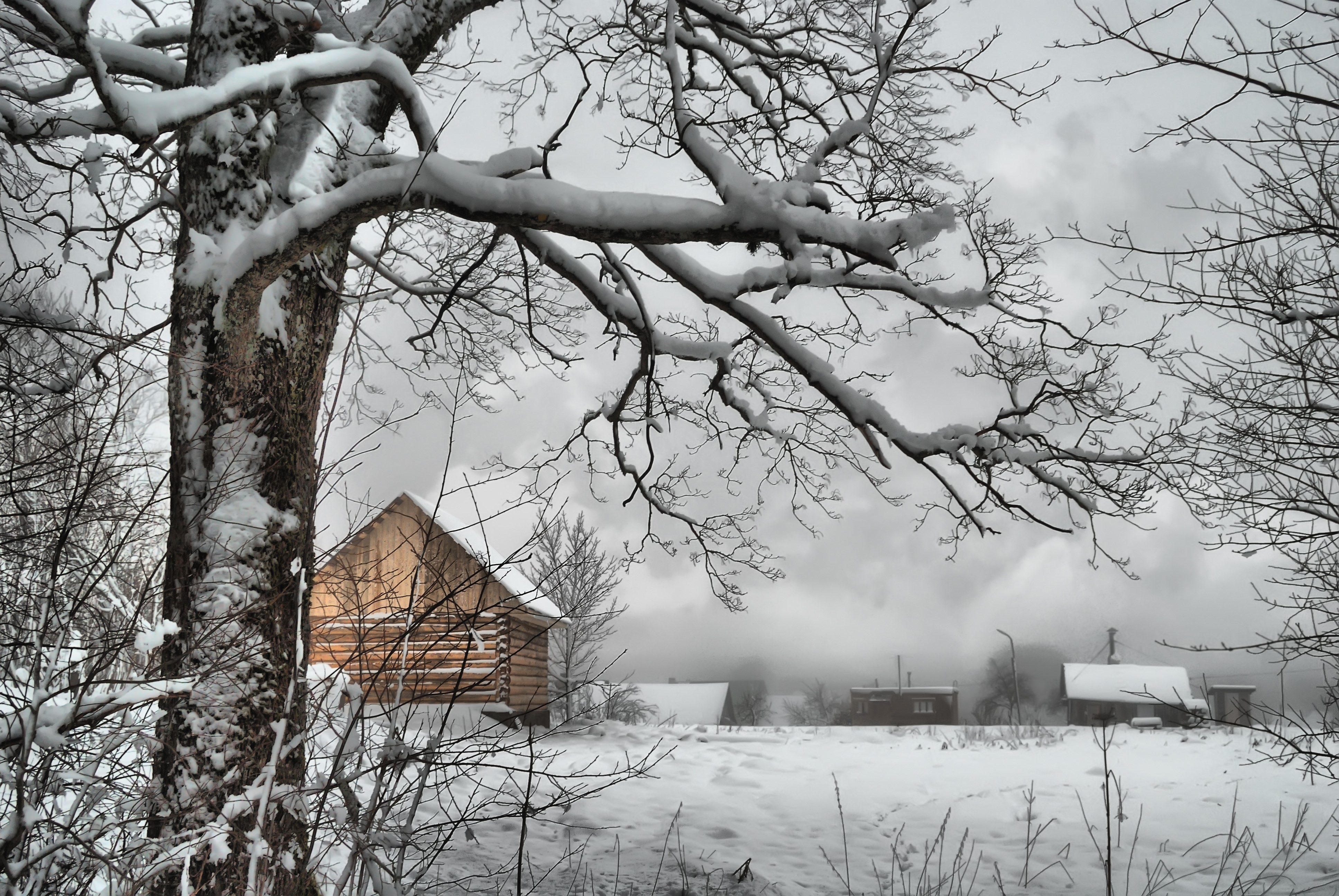 4K Winter Scene with Snow-Covered Trees and Cabins HD Wallpaper