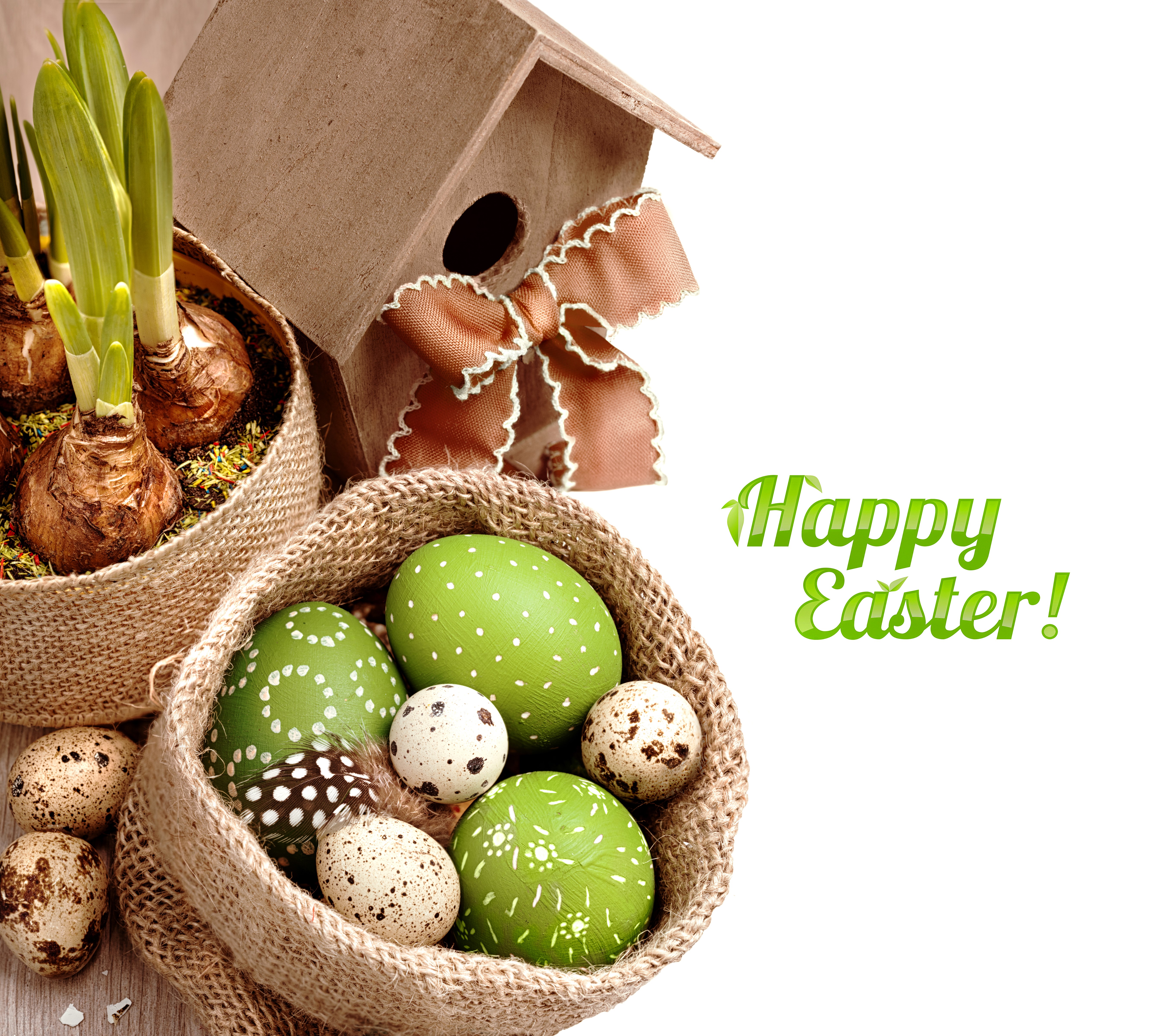 Easter Eggs and Daffodil Bulbs with Birdhouse HD Wallpaper