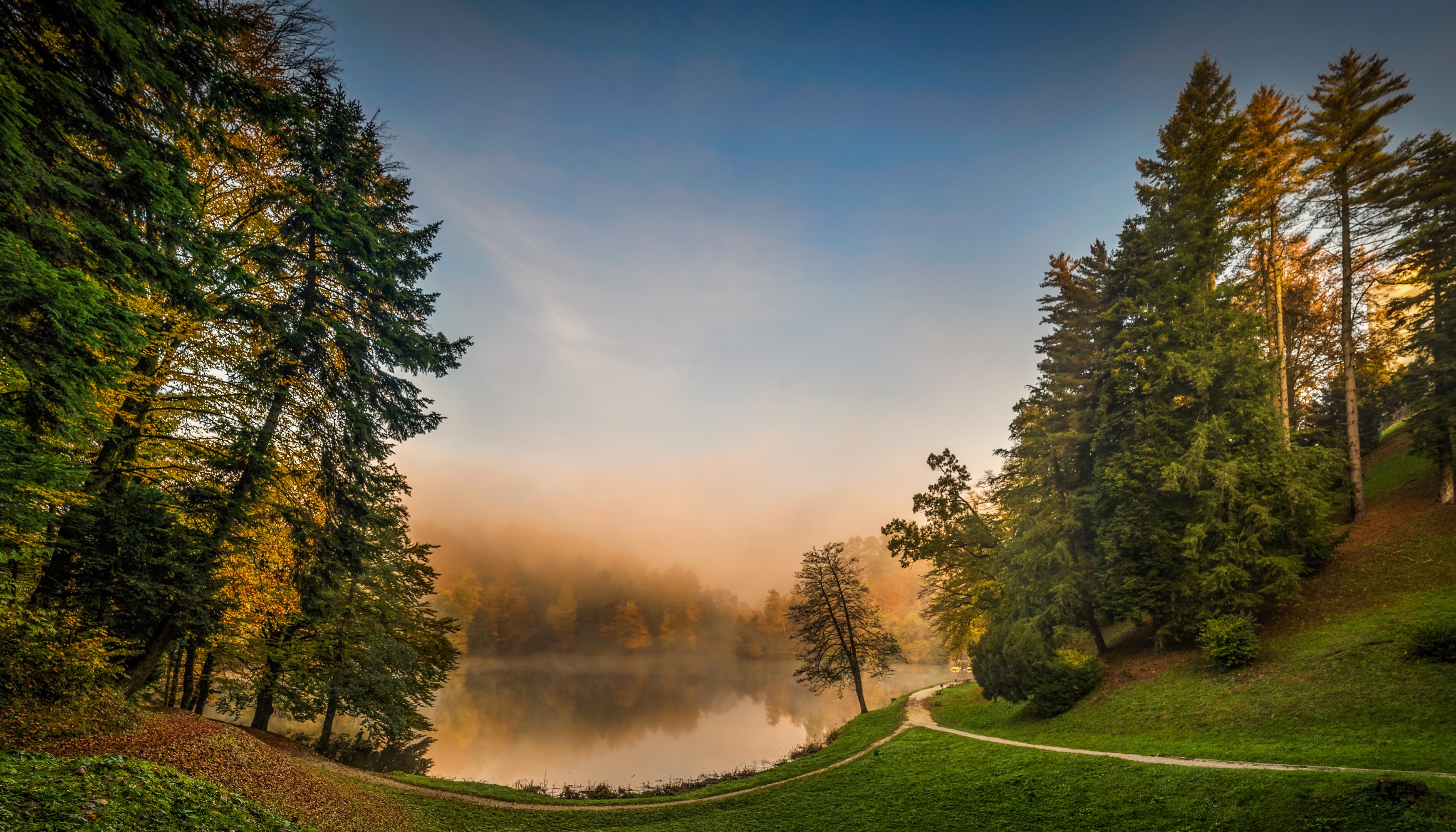 Lake and trees in fog at Trakoscan, Croatia HD Wallpaper
